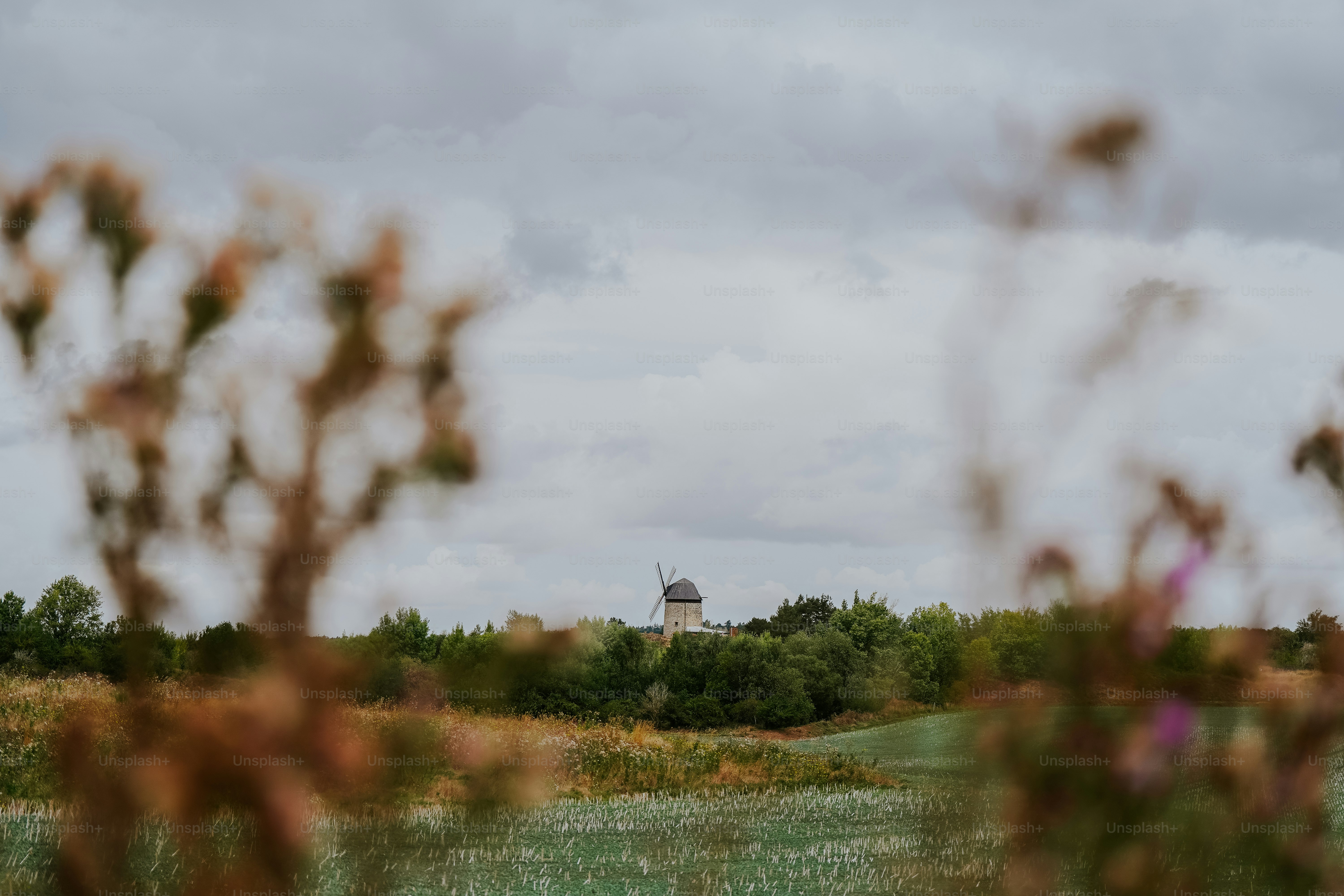 Ein entferntes Gebäude hinter Bäumen unter einem bewölkten Himmel.