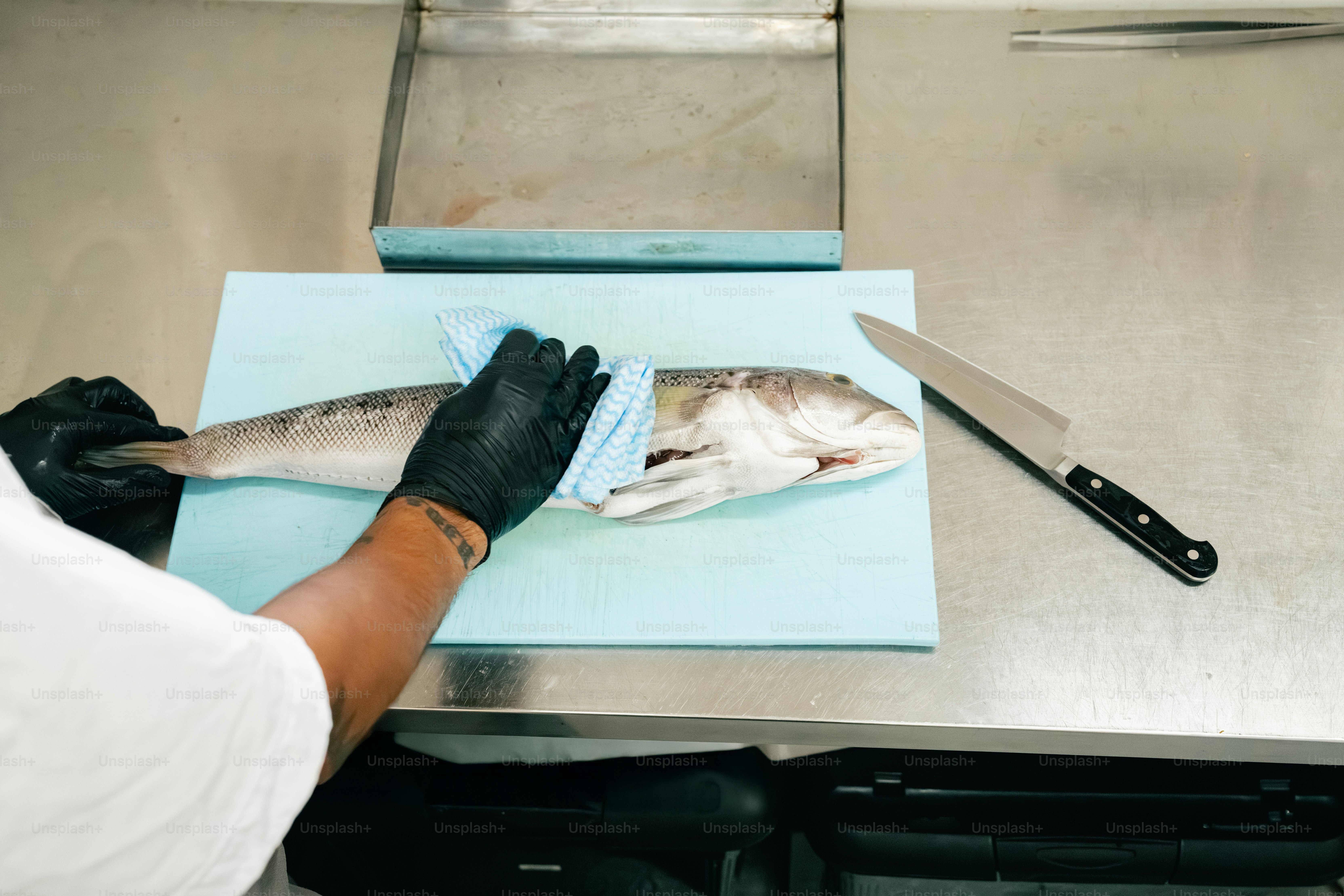Chef preparing fish in a professional kitchen photo – Food Image on ...