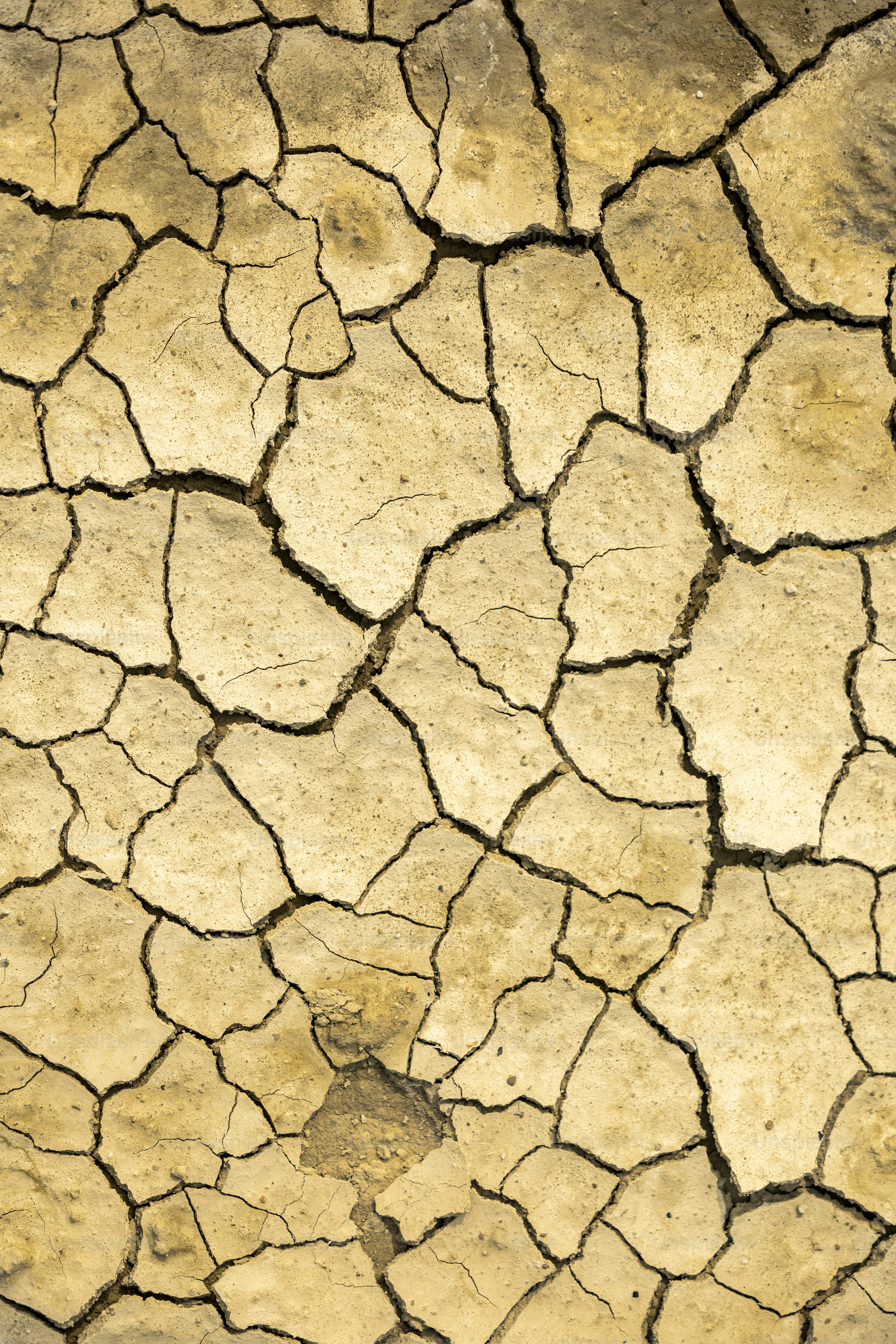 ひび割れた乾燥した土面で深い亀裂があります。