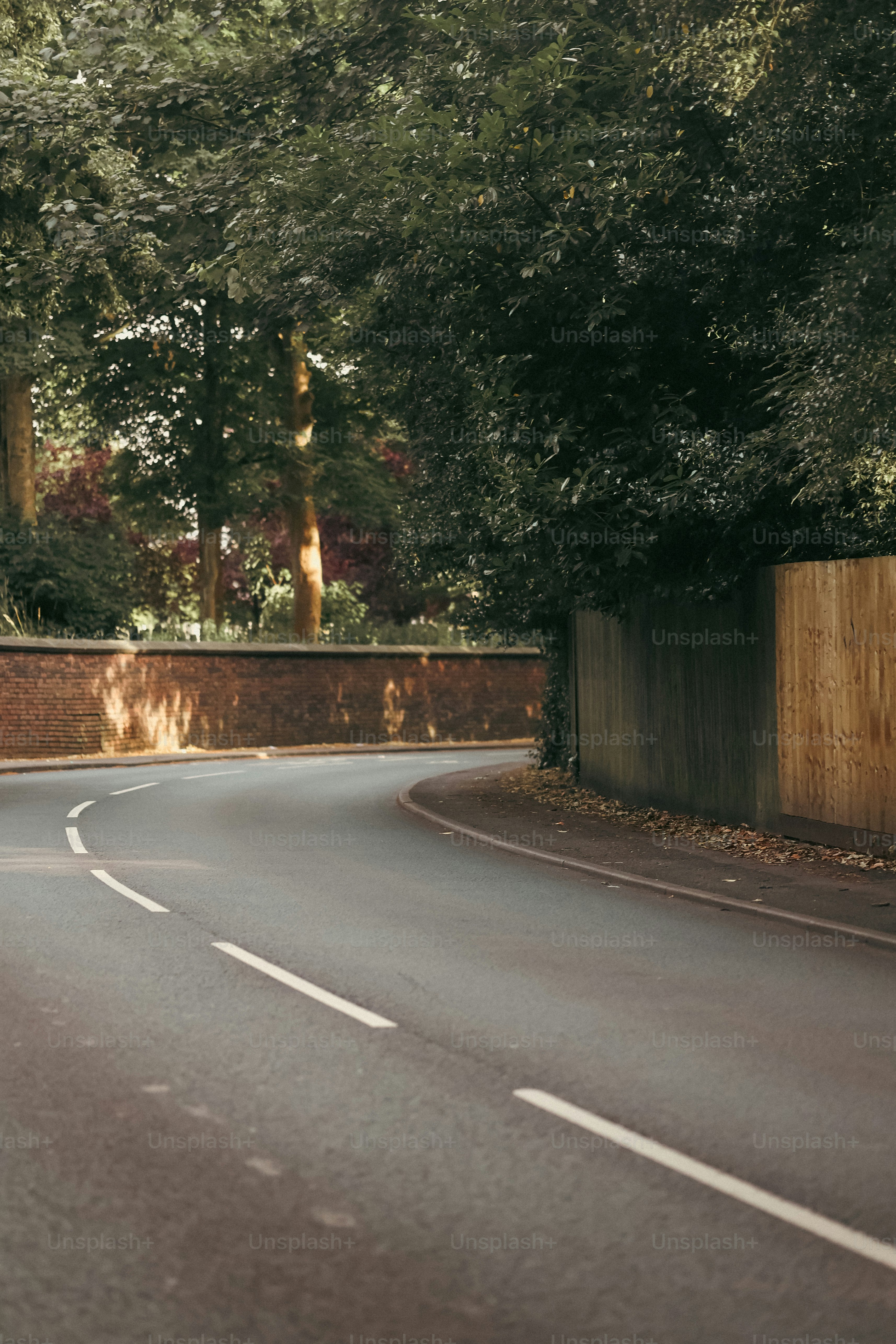 Eine gewundene Straße schlängelt sich an Bäumen und einem Holzzaun vorbei.