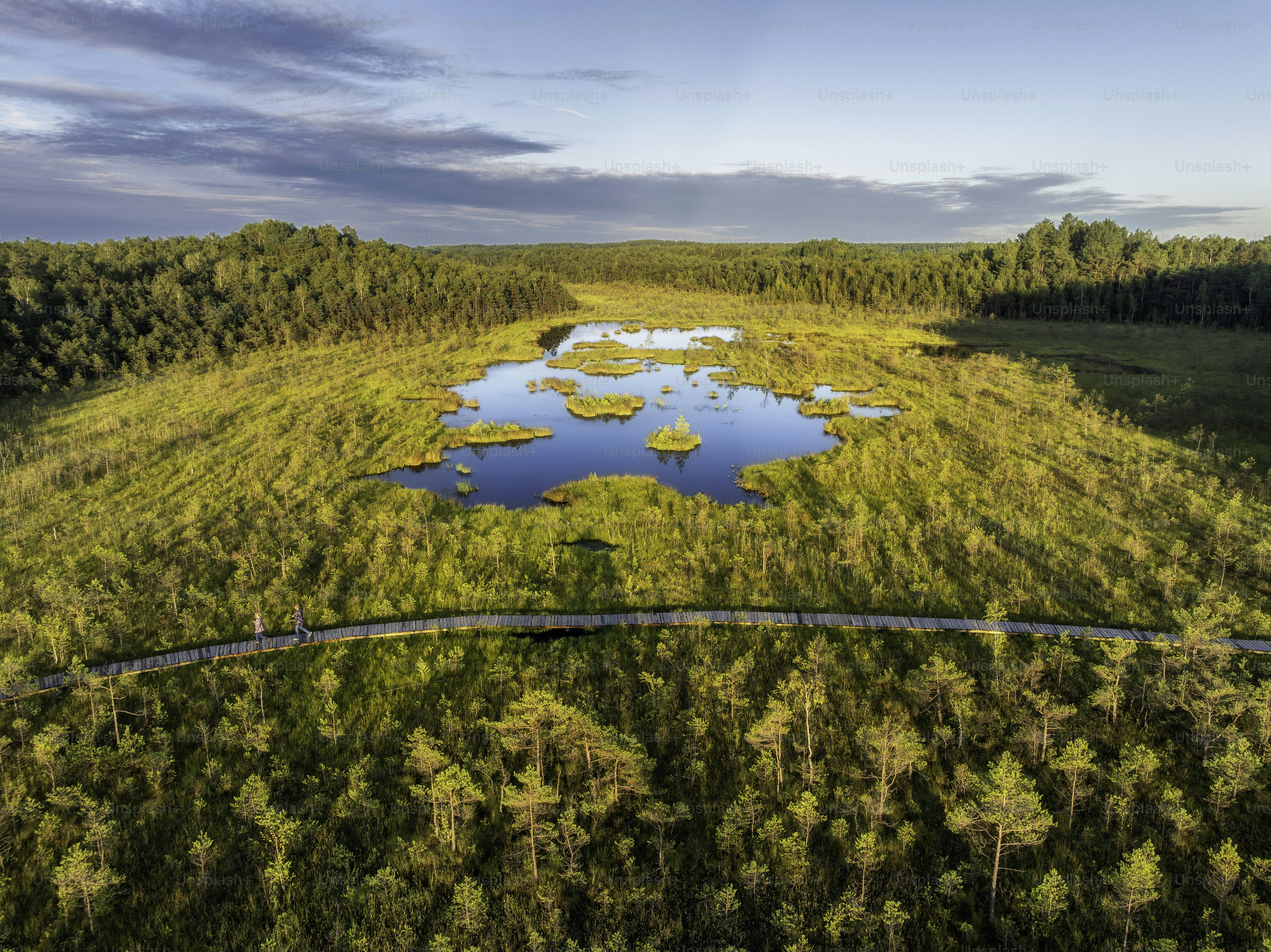 A scenic wetland landscape with a wooden boardwalk.