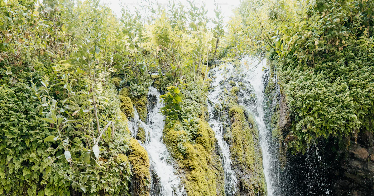 A lush waterfall cascades down mossy rocks into a pool. photo – Image ...