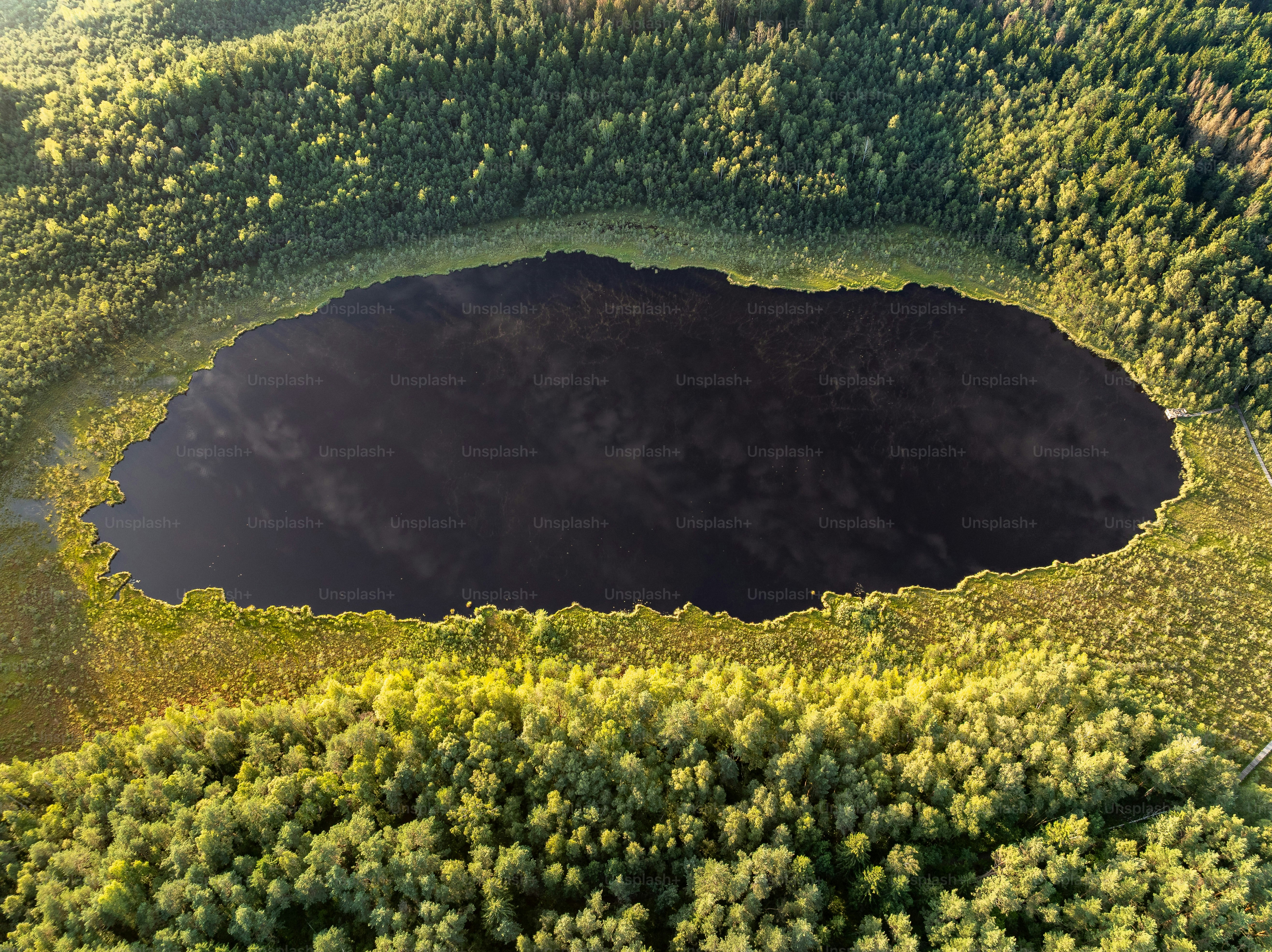 緑の森に囲まれた暗い湖の空撮