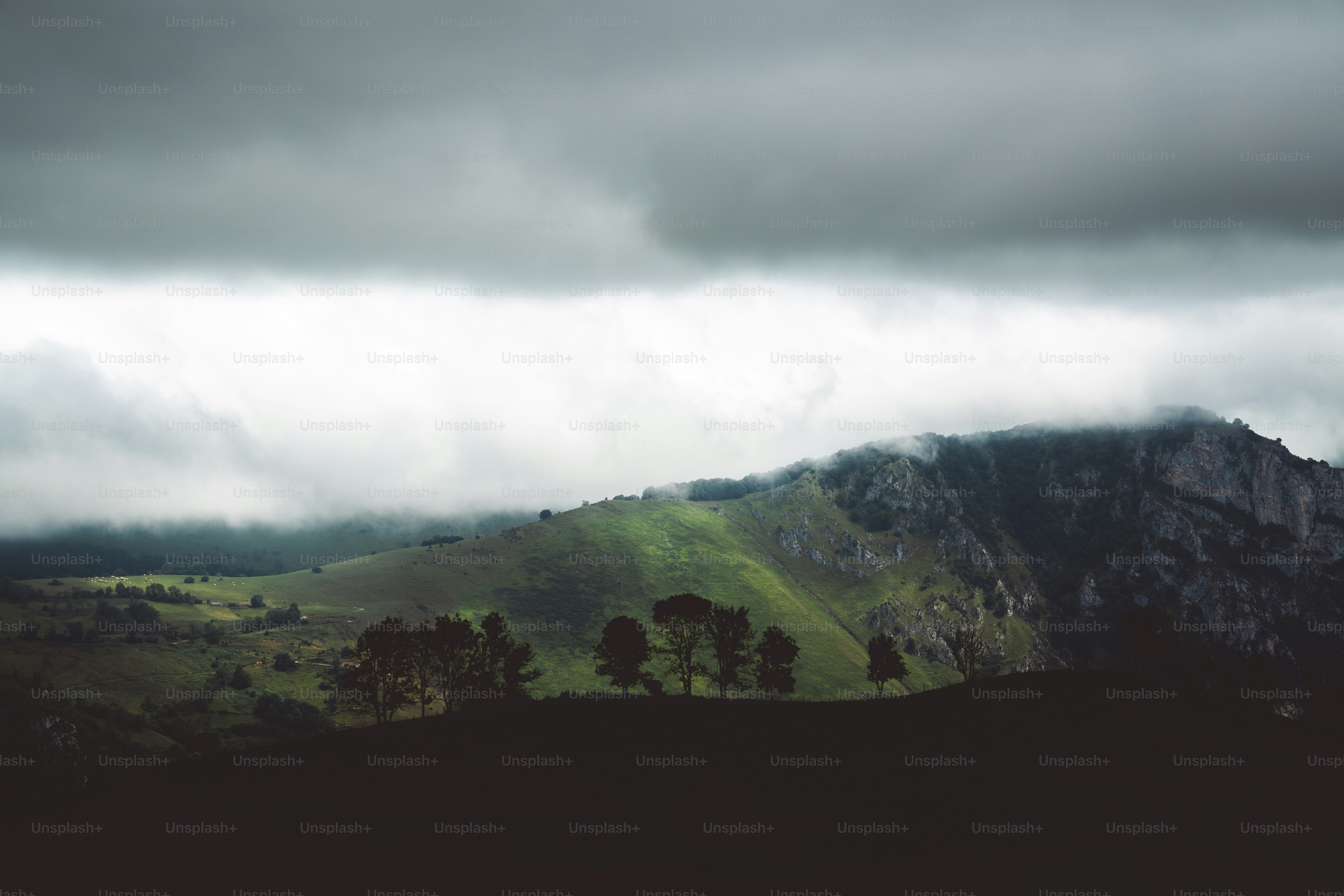 Montañas brumosas con colinas verdes y árboles.