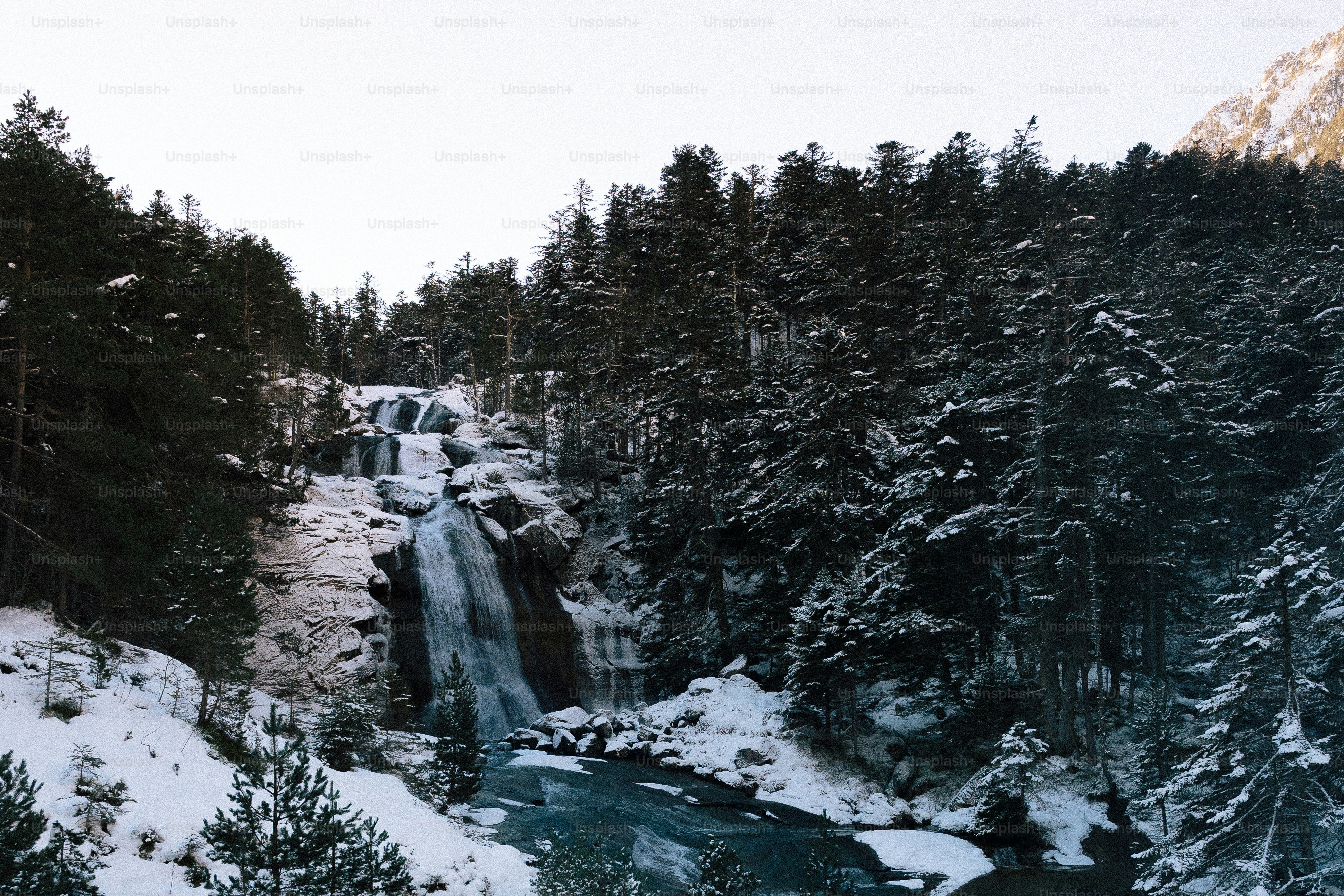 Cascada que fluye por un paisaje de bosque nevado.