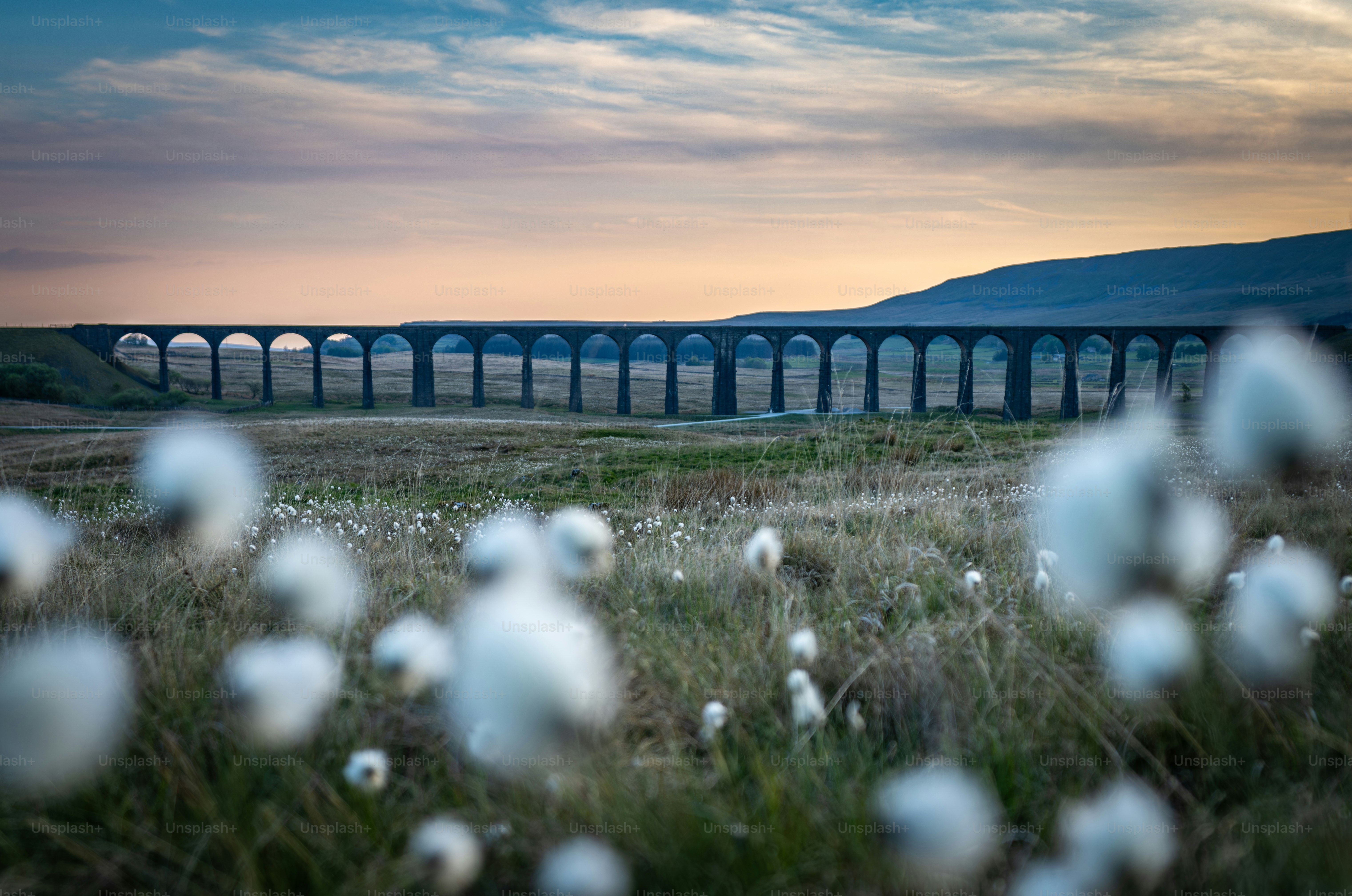 Steinernes Eisenbahnviadukt in ländlicher Landschaft bei Einbruch der Dämmerung
