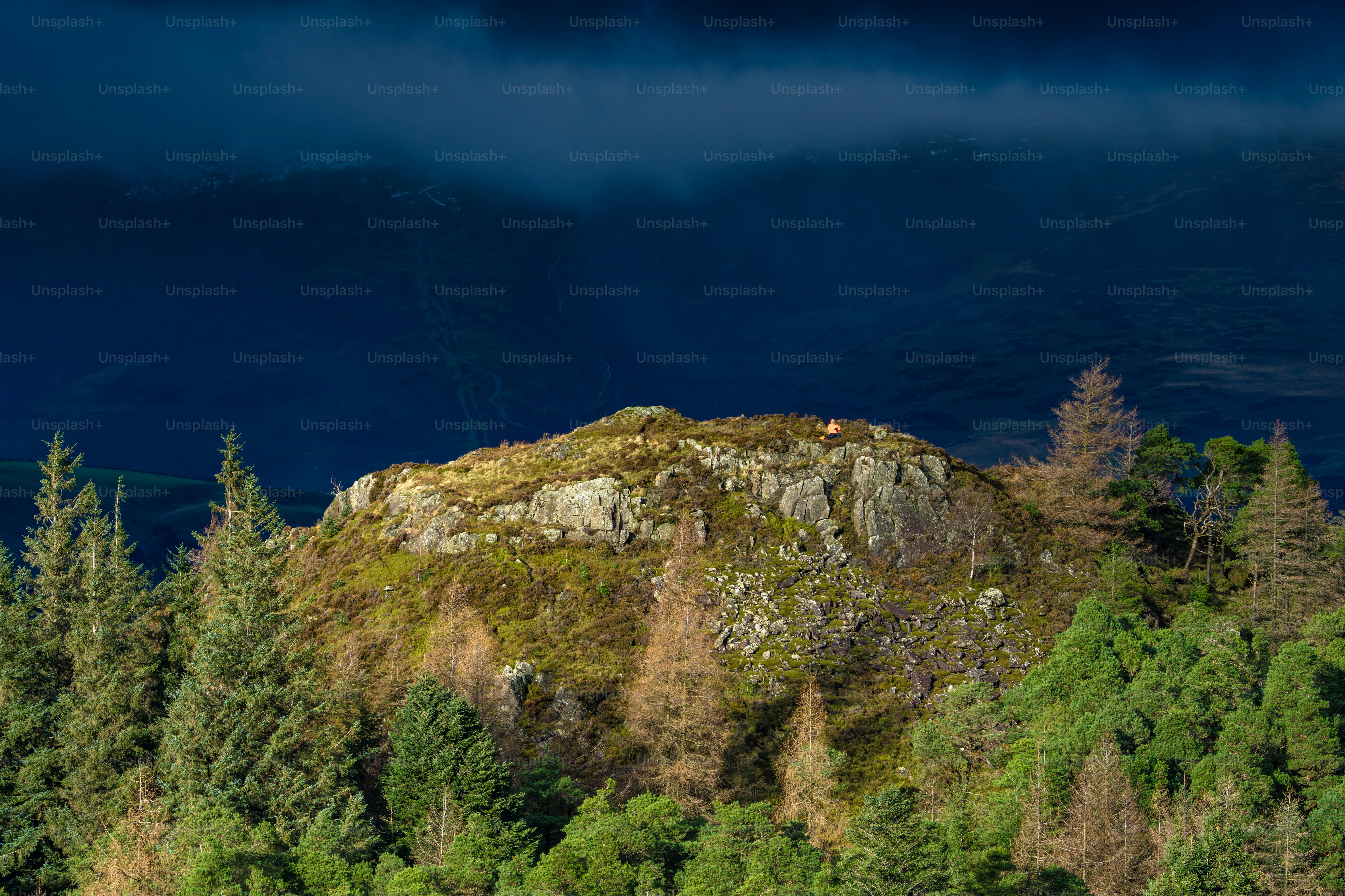 Rocky hilltop surrounded by evergreen trees