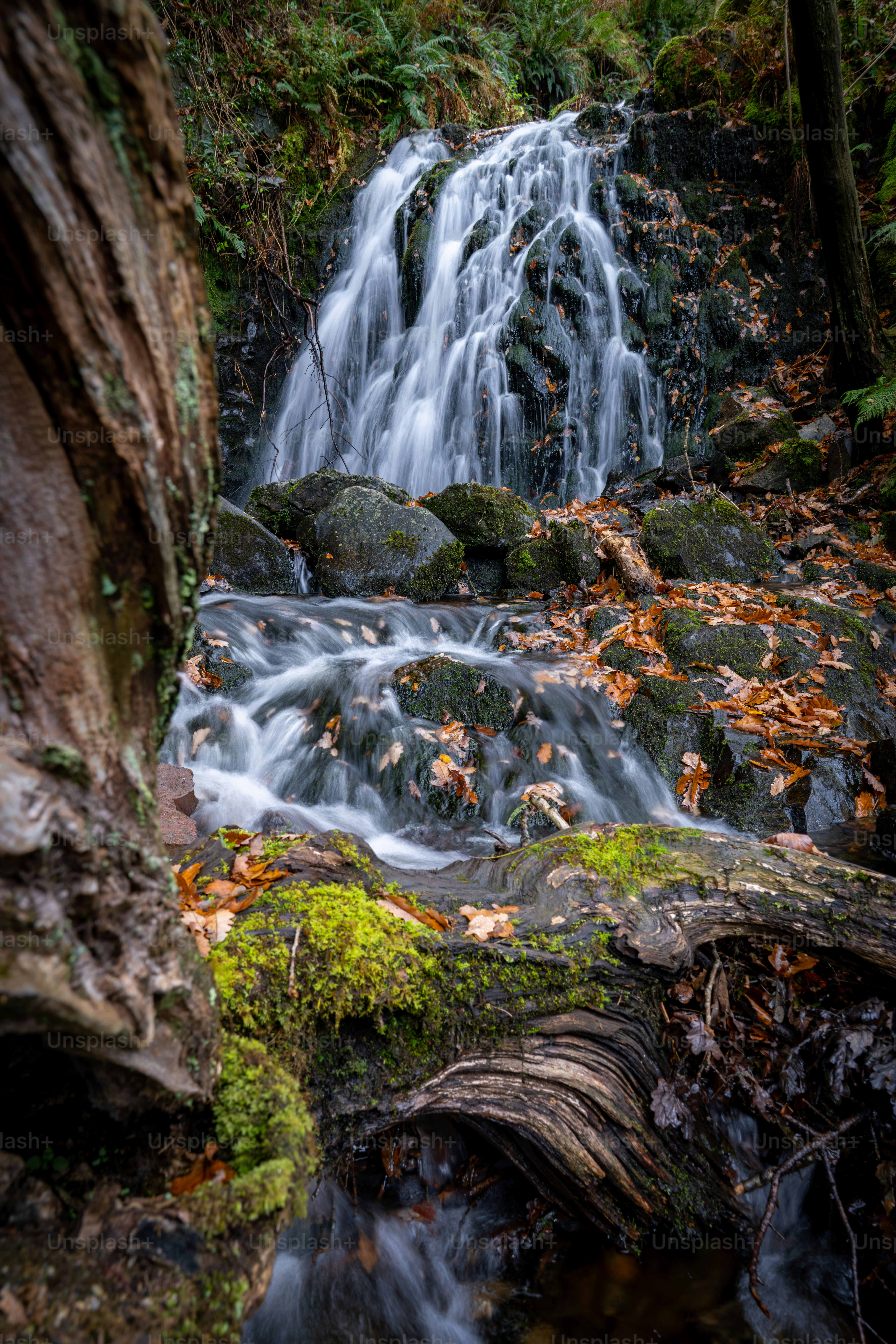 Ein Wasserfall stürzt über moosbedeckte Felsen mit gefallenen Blättern.