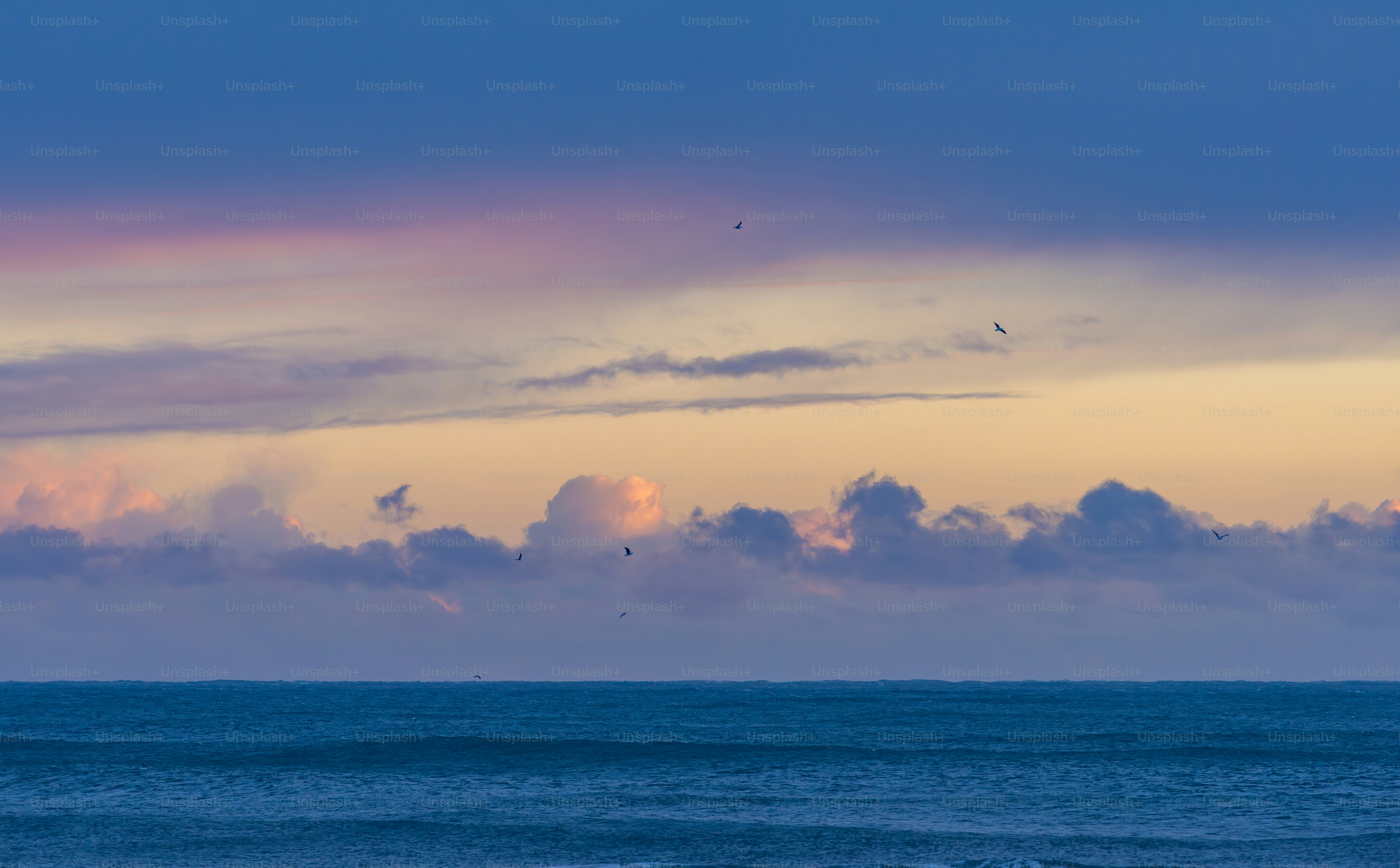 Ocean horizon with soft pastel clouds at sunrise
