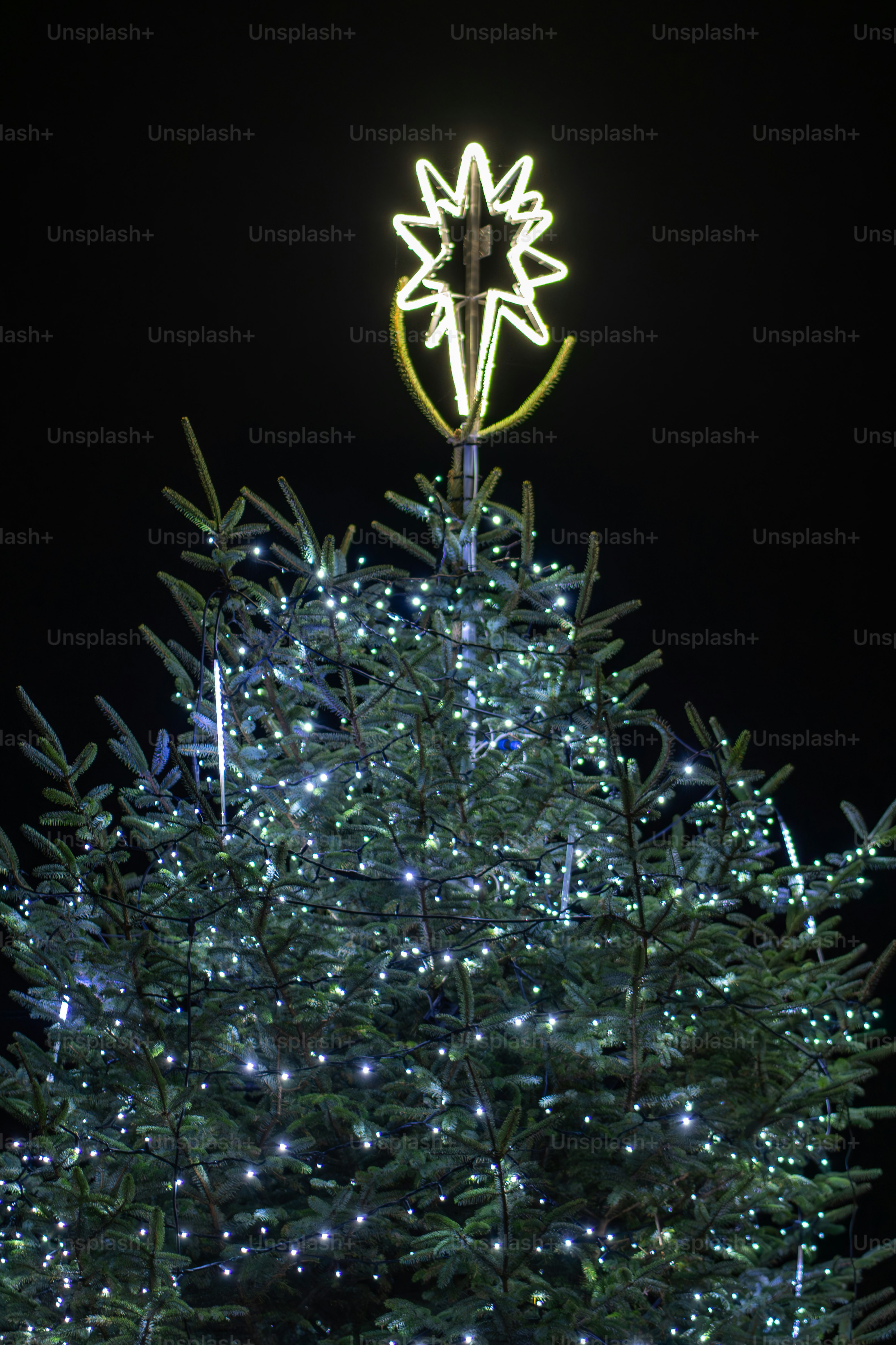 Ein geschmückter Weihnachtsbaum mit einem Stern oben