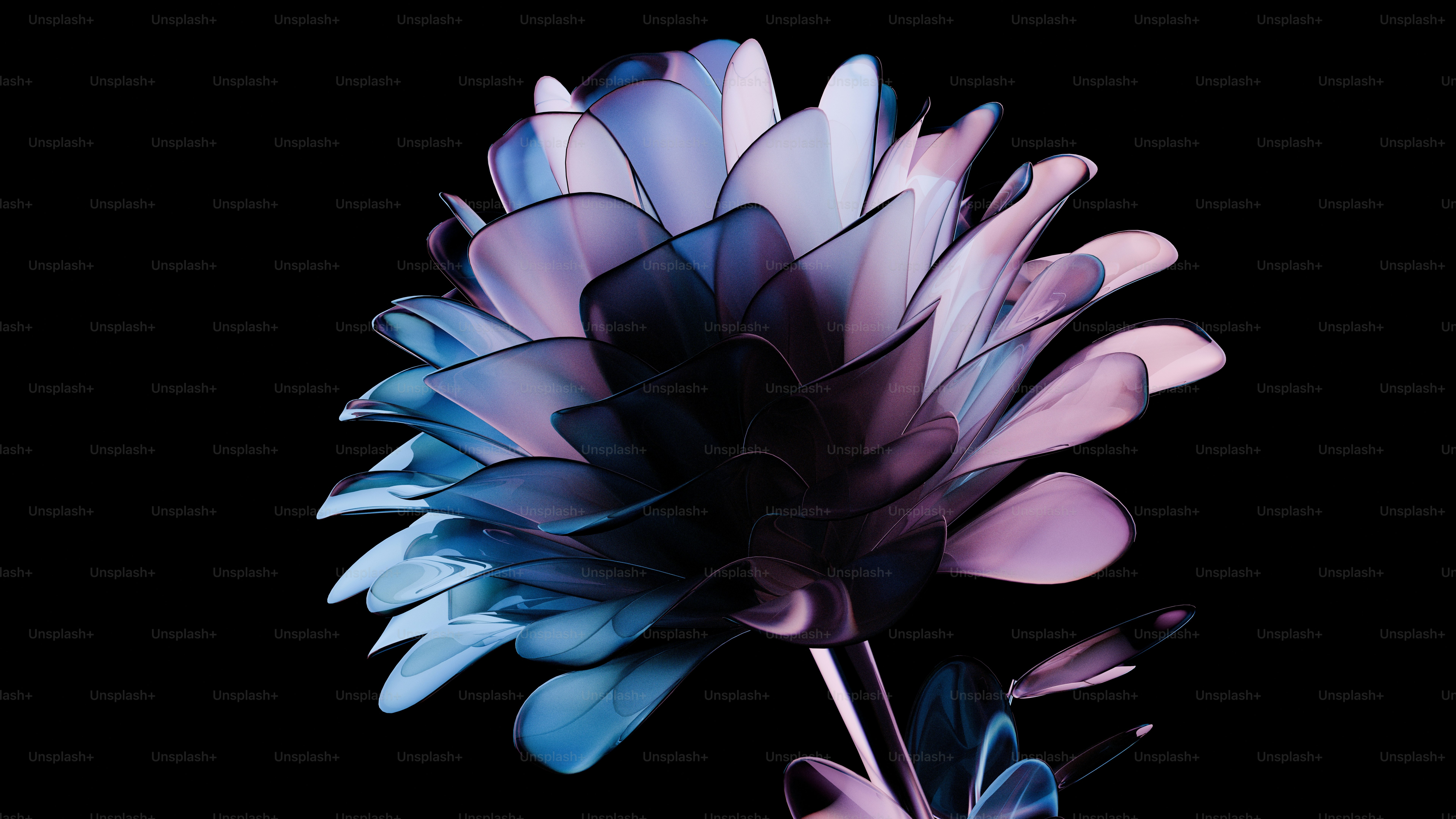 Una flor morada y azul superpuesta contra negro