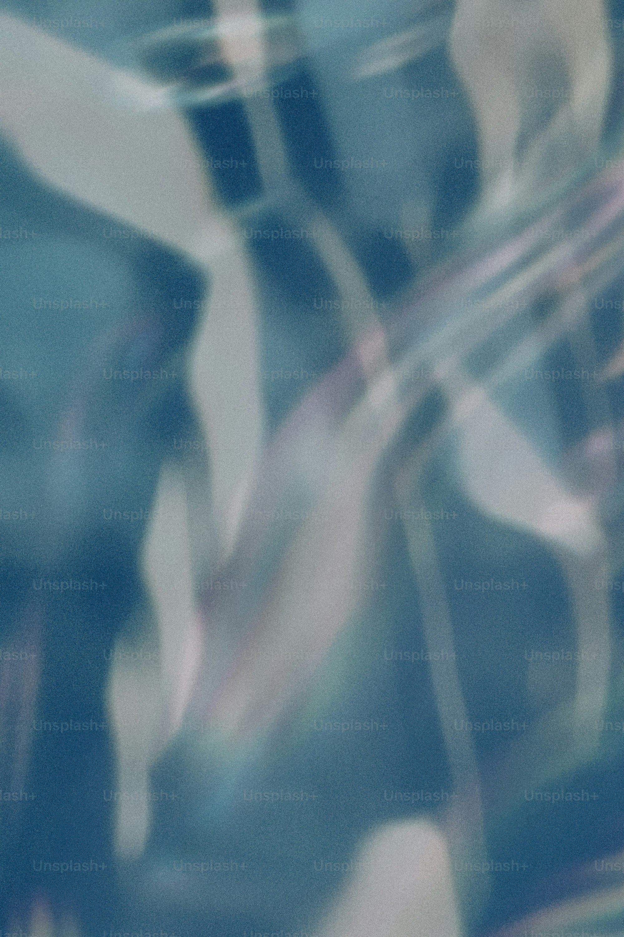 Abstrakte blau-weiß verschwommene Formen