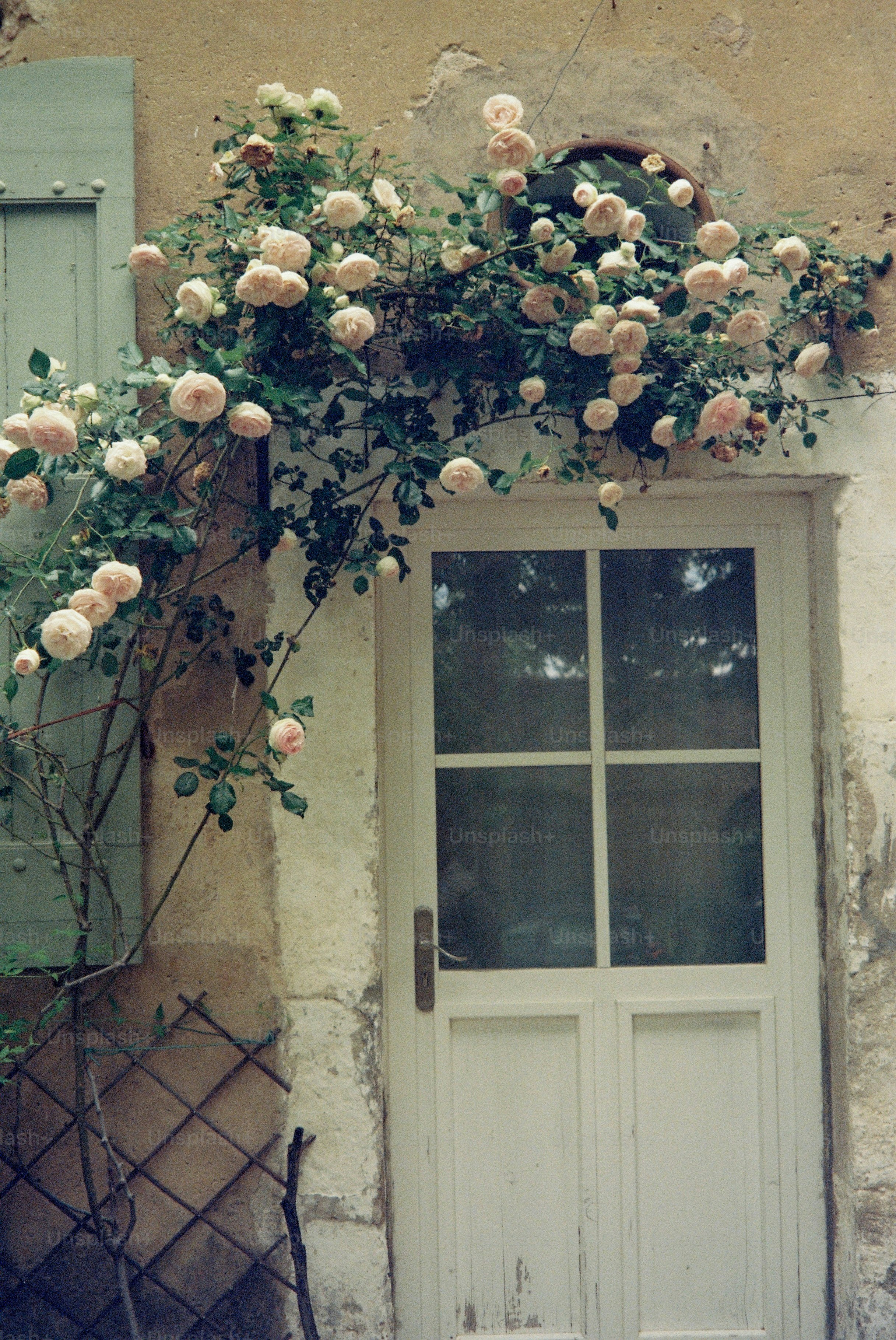Climbing roses adorn a rustic doorway with green shutters
