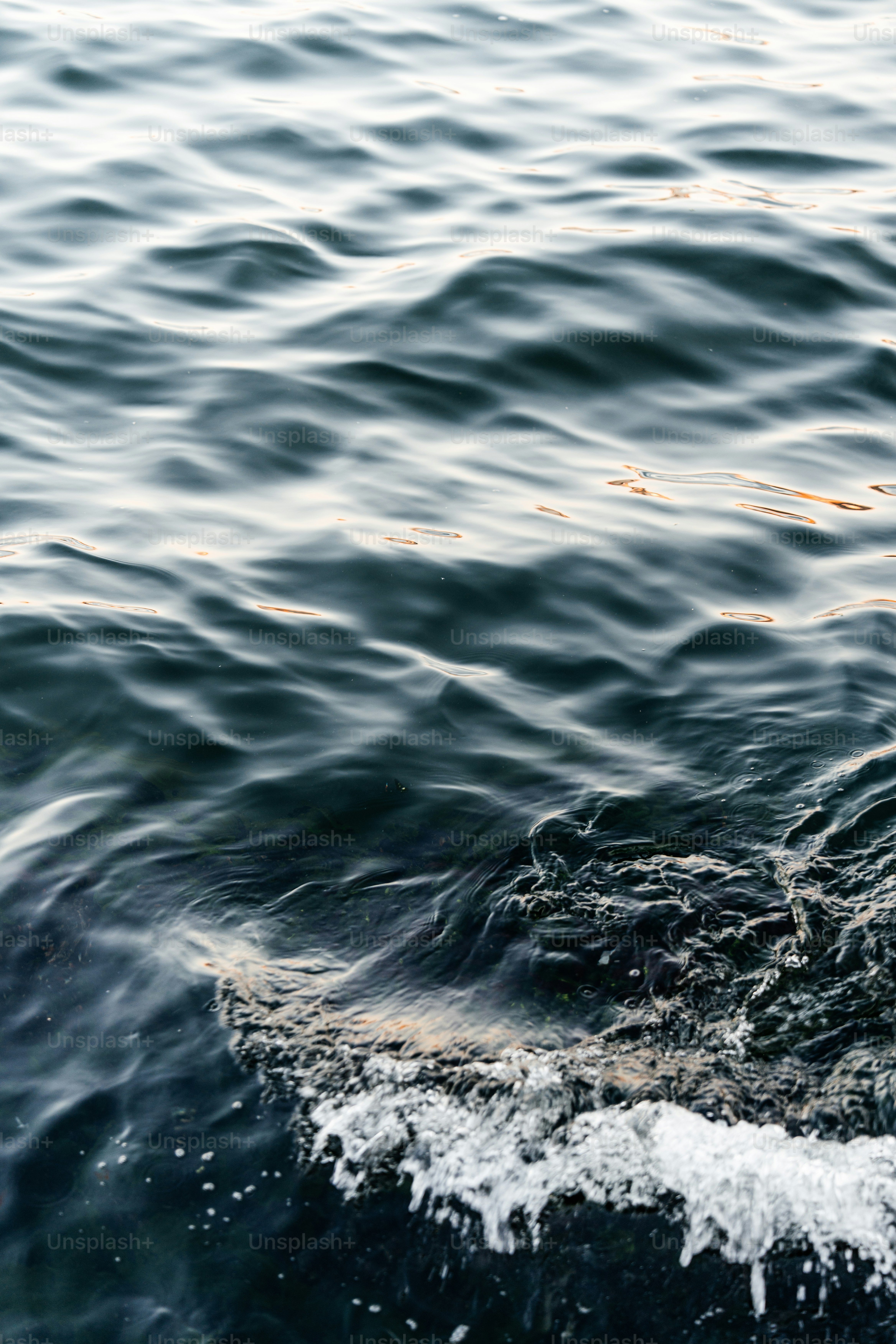 Dark ocean waves with white foam crests
