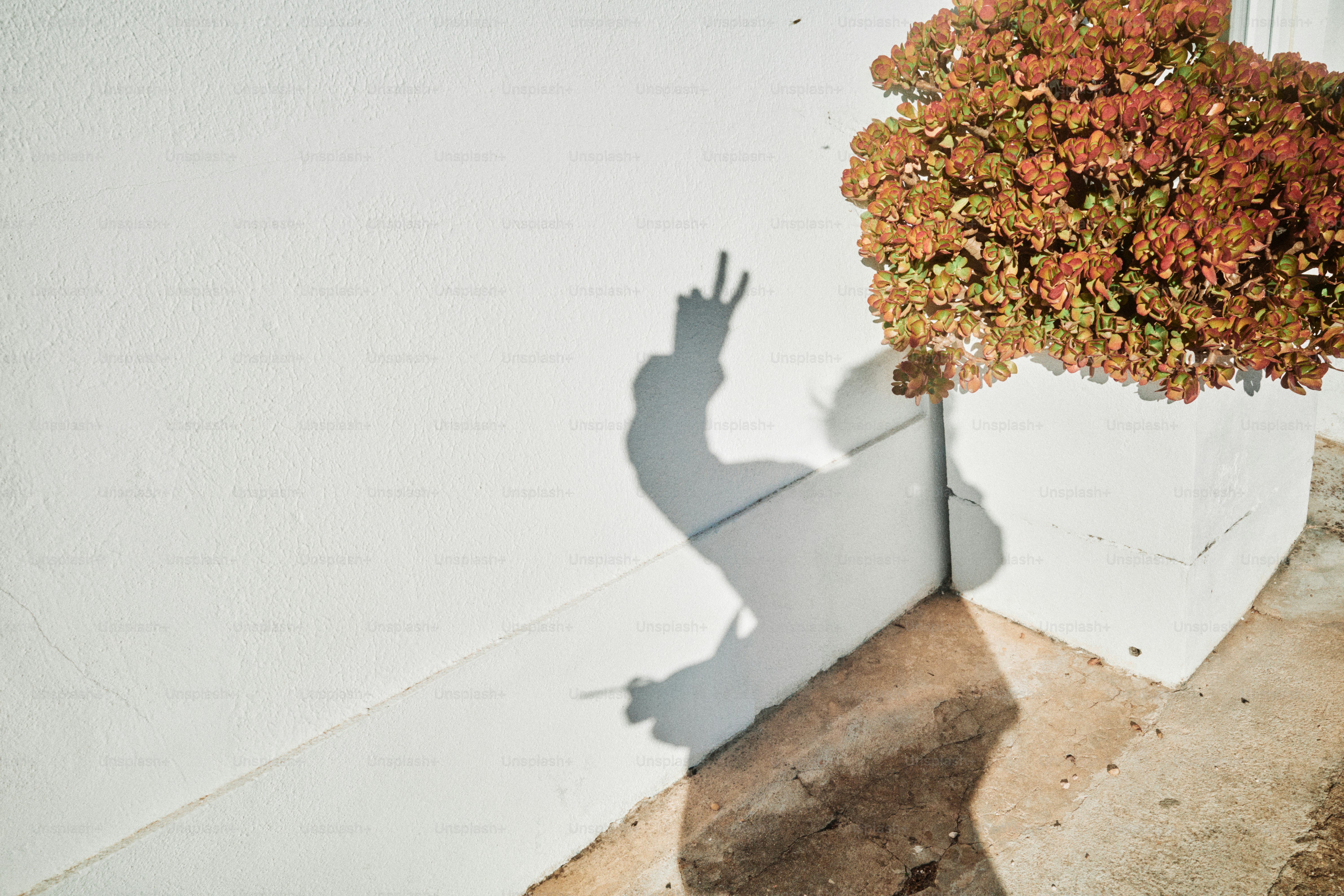 Sombra de una persona haciendo la señal de paz en la pared.