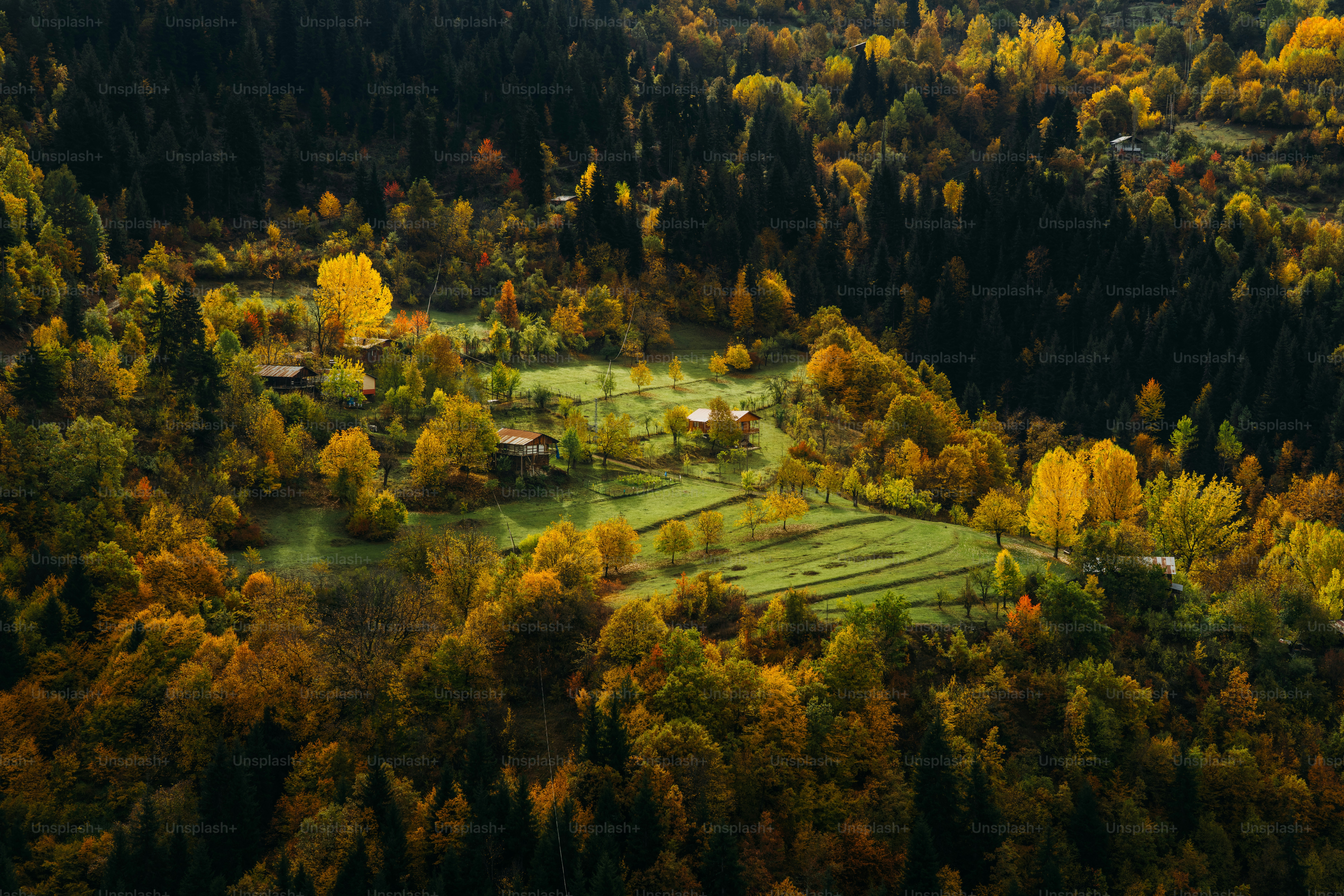 Autumn village nestled in a green valley photo – Forest Image on Unsplash
