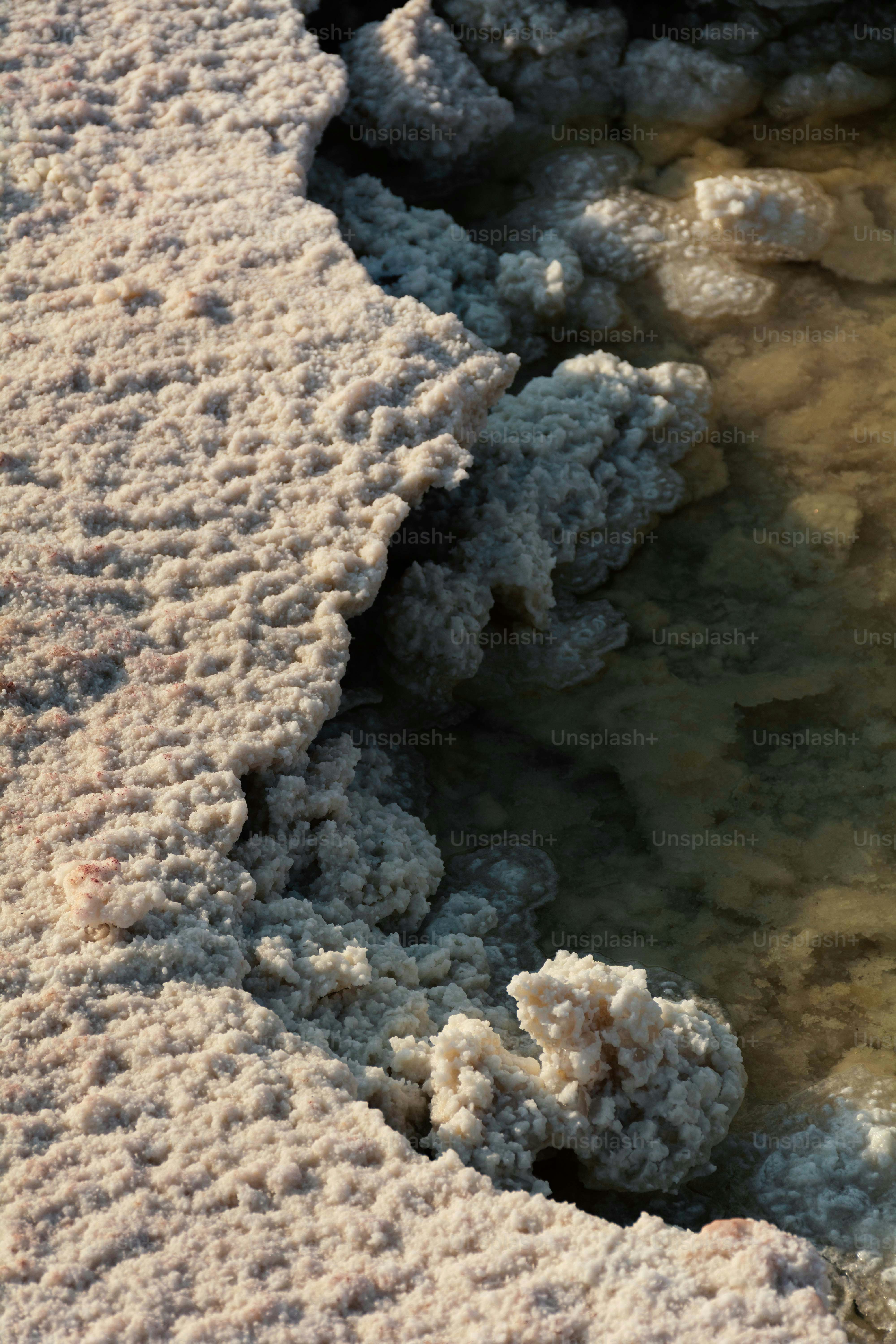 Close-up of salt formations by calm water
