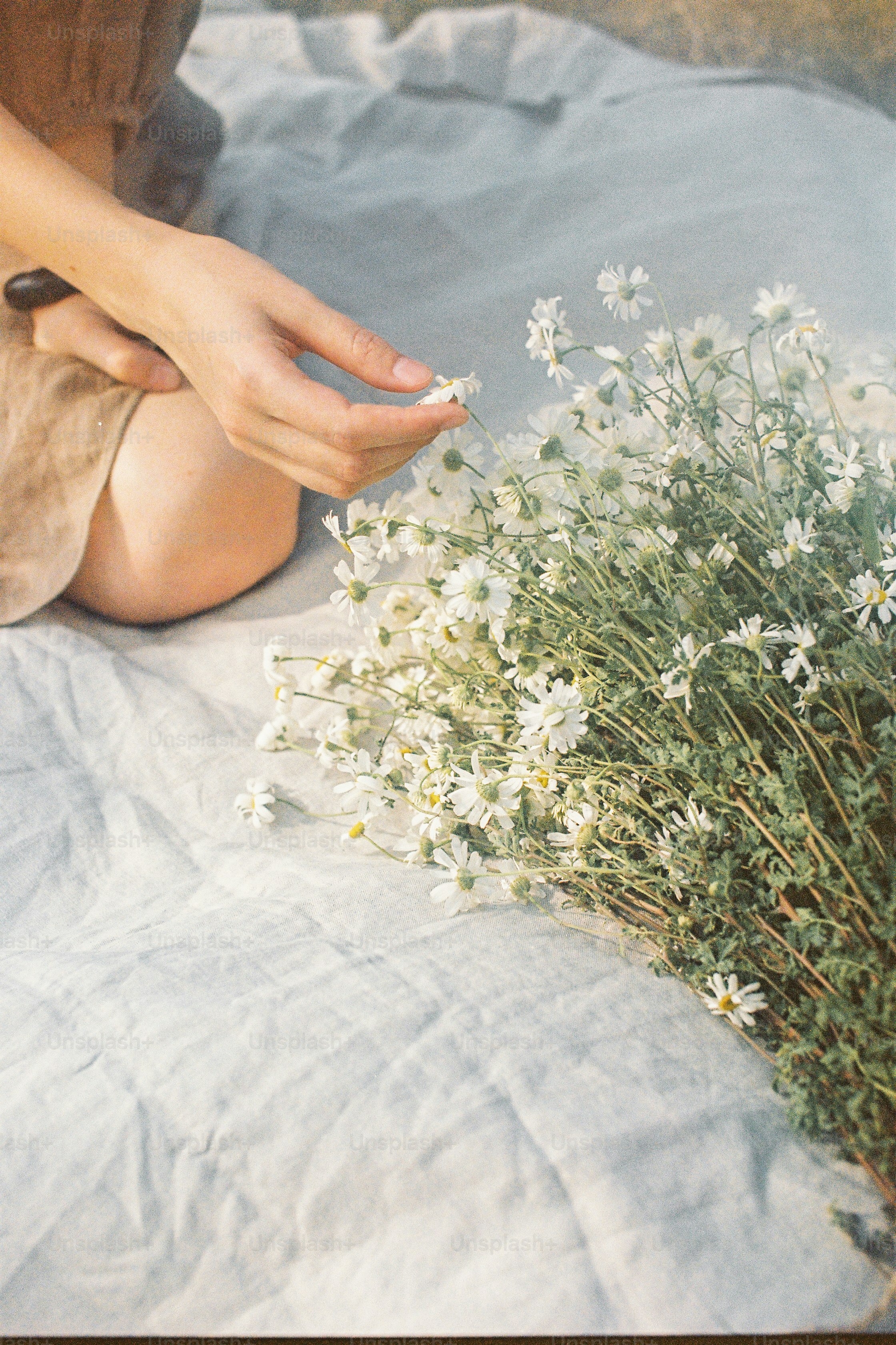 Woman picking small white flowers from a bouquet