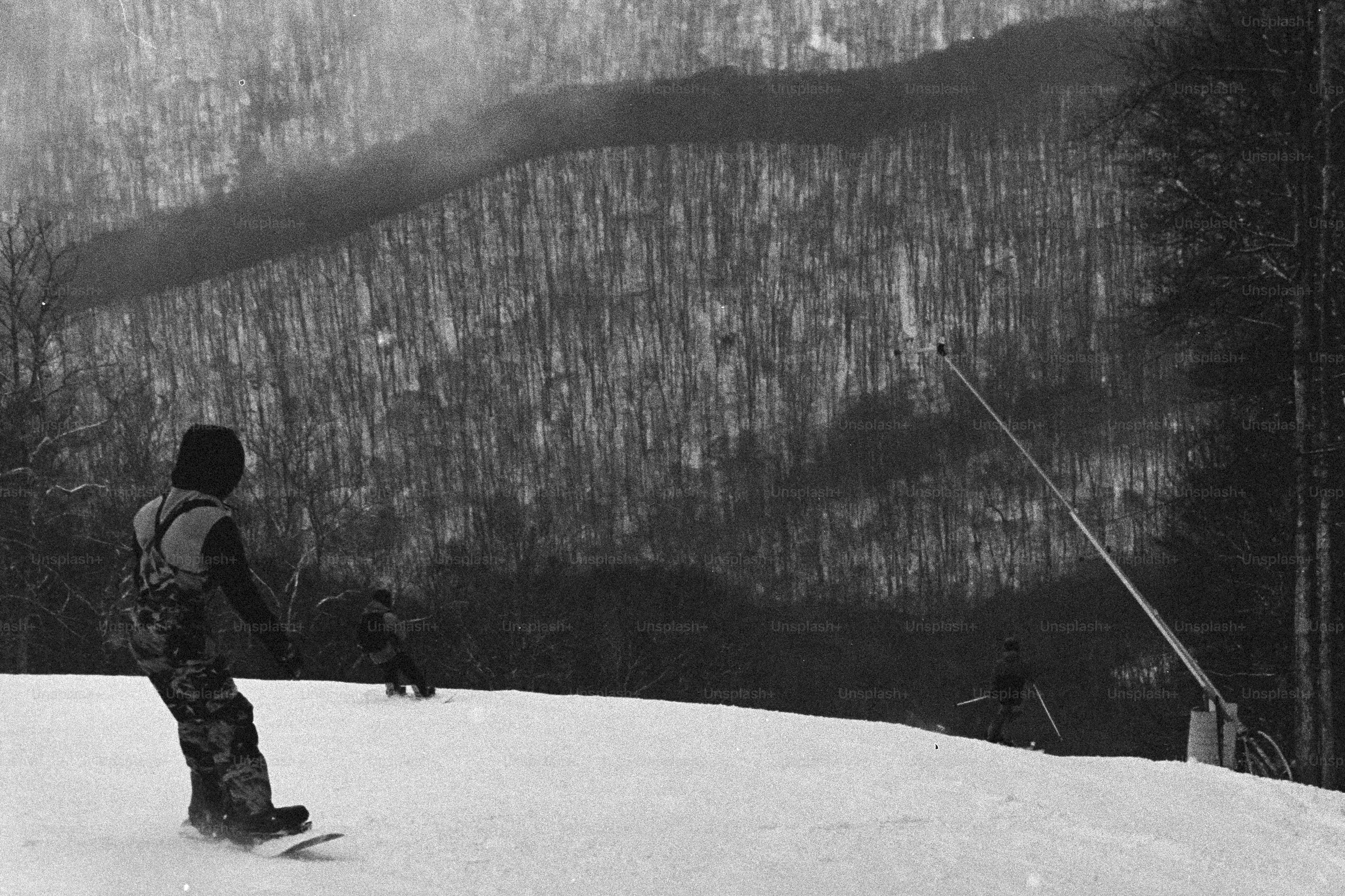 Des snowboardeurs descendant une pente enneigée avec des arbres derrière.