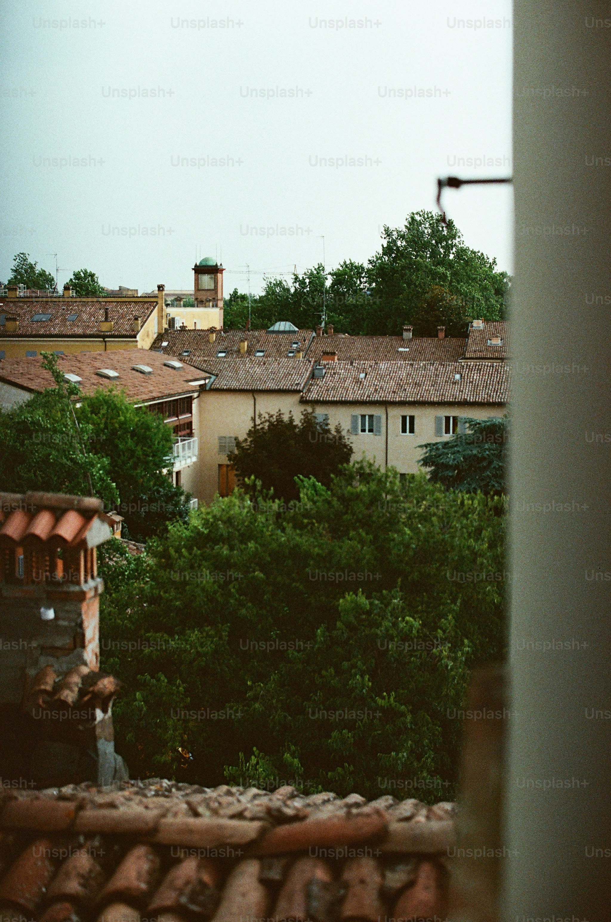 Dächer und Bäume in einer europäischen Stadt.