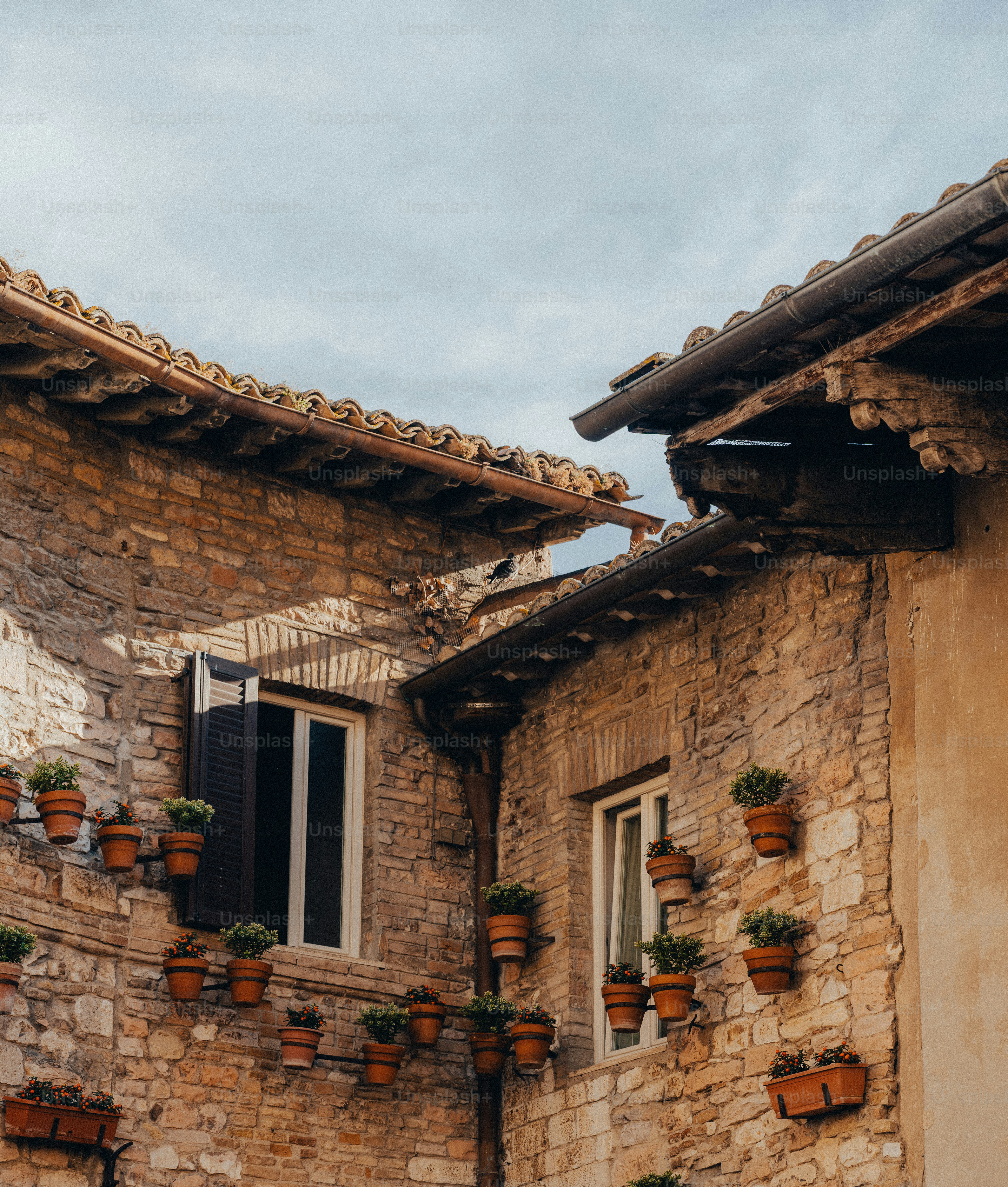 Stone buildings with potted plants on walls