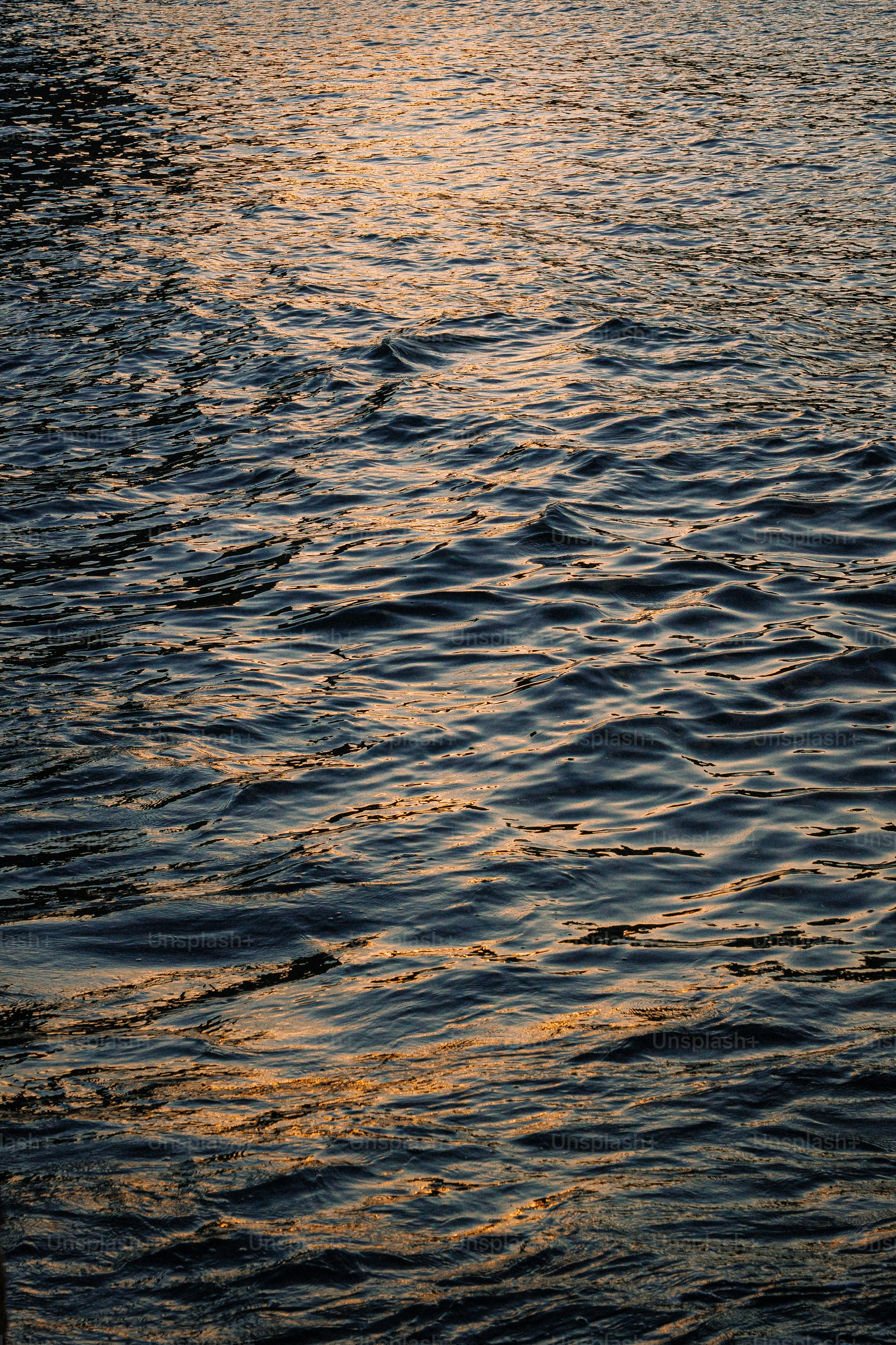 Rippling water reflecting golden sunset light photo – Image on Unsplash