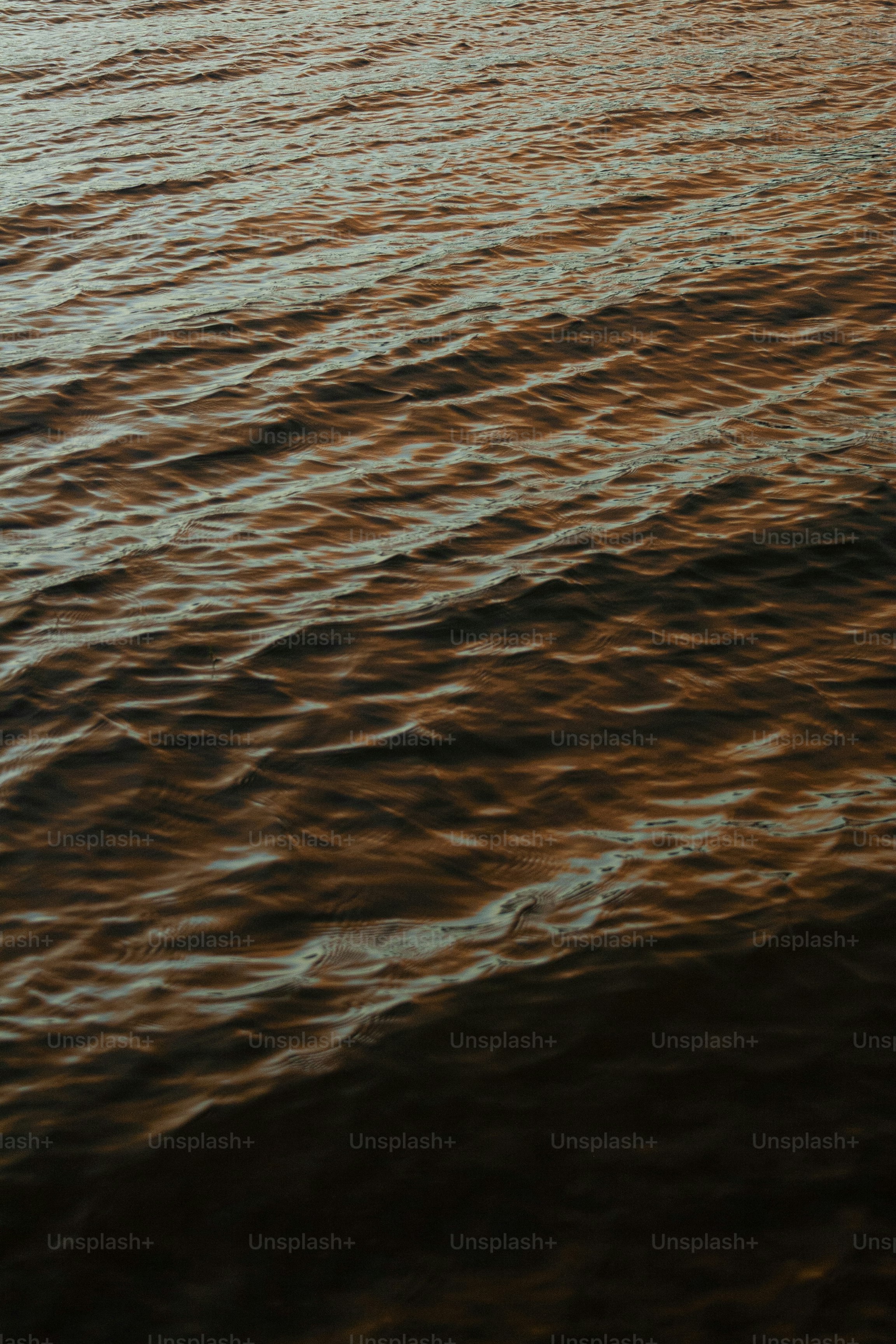 Ondas en la superficie del agua oscura