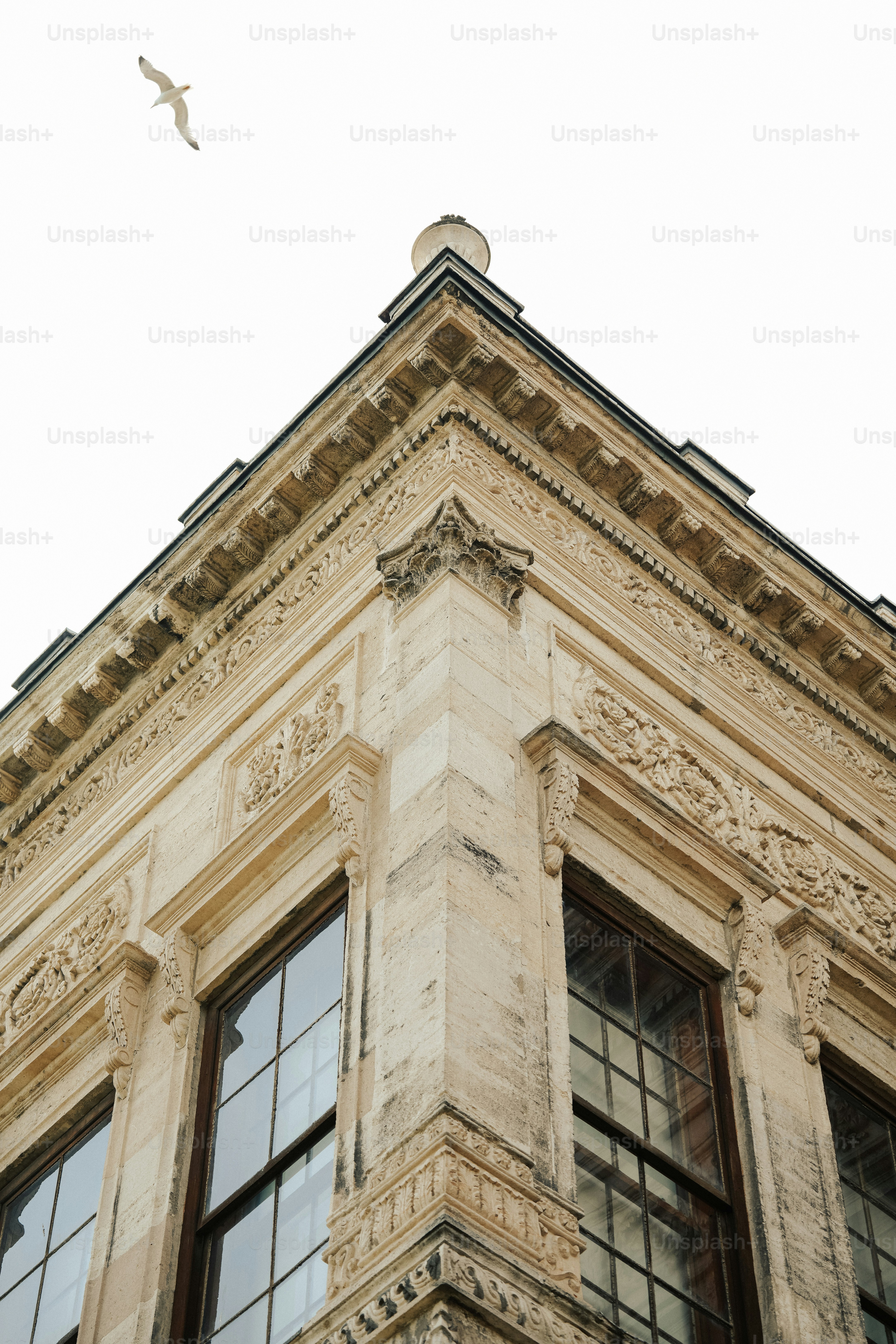 Seagull flying by ornate building corner