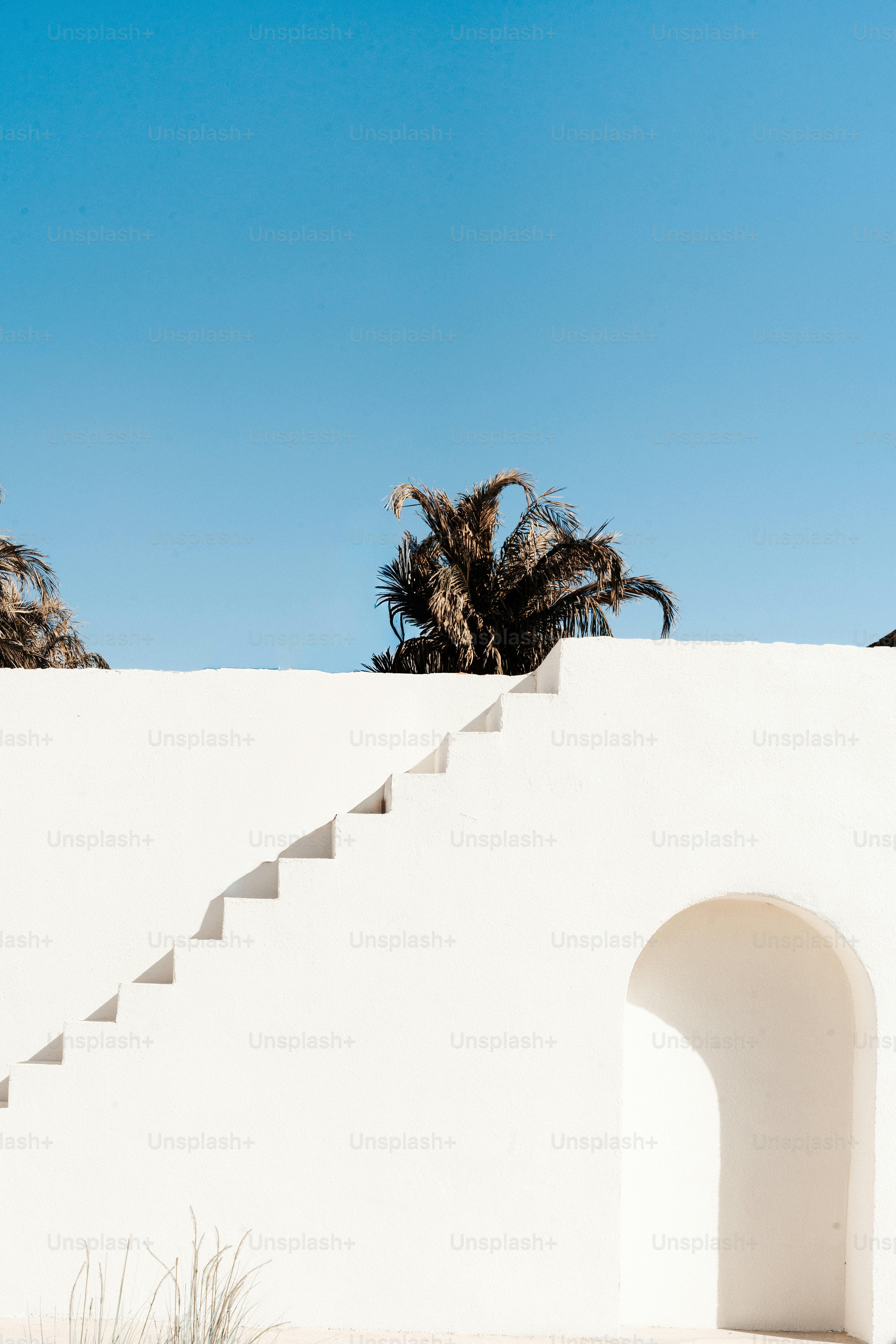 White staircase leading to palm trees under blue sky