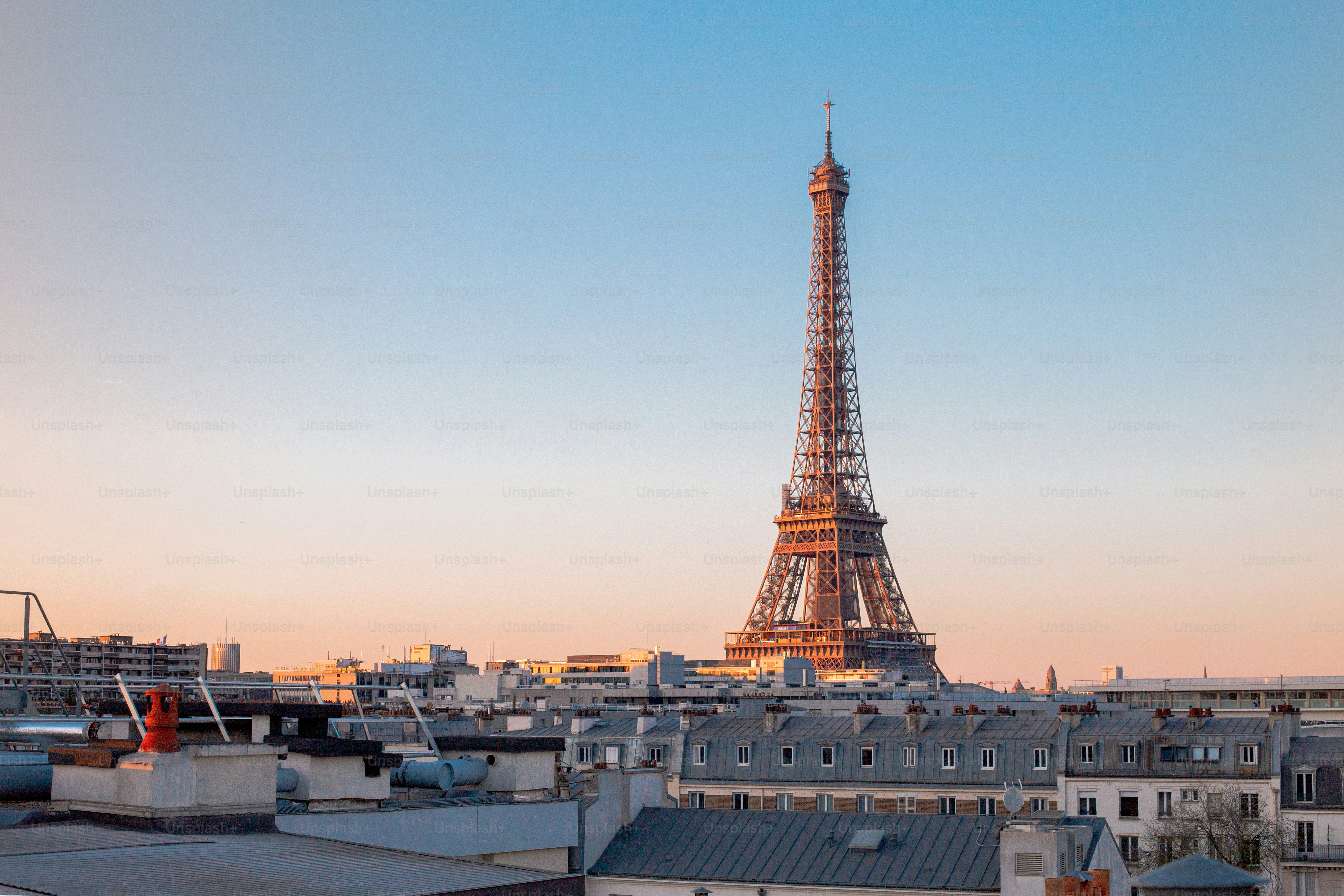 Torre Eiffel y azoteas de París al amanecer.