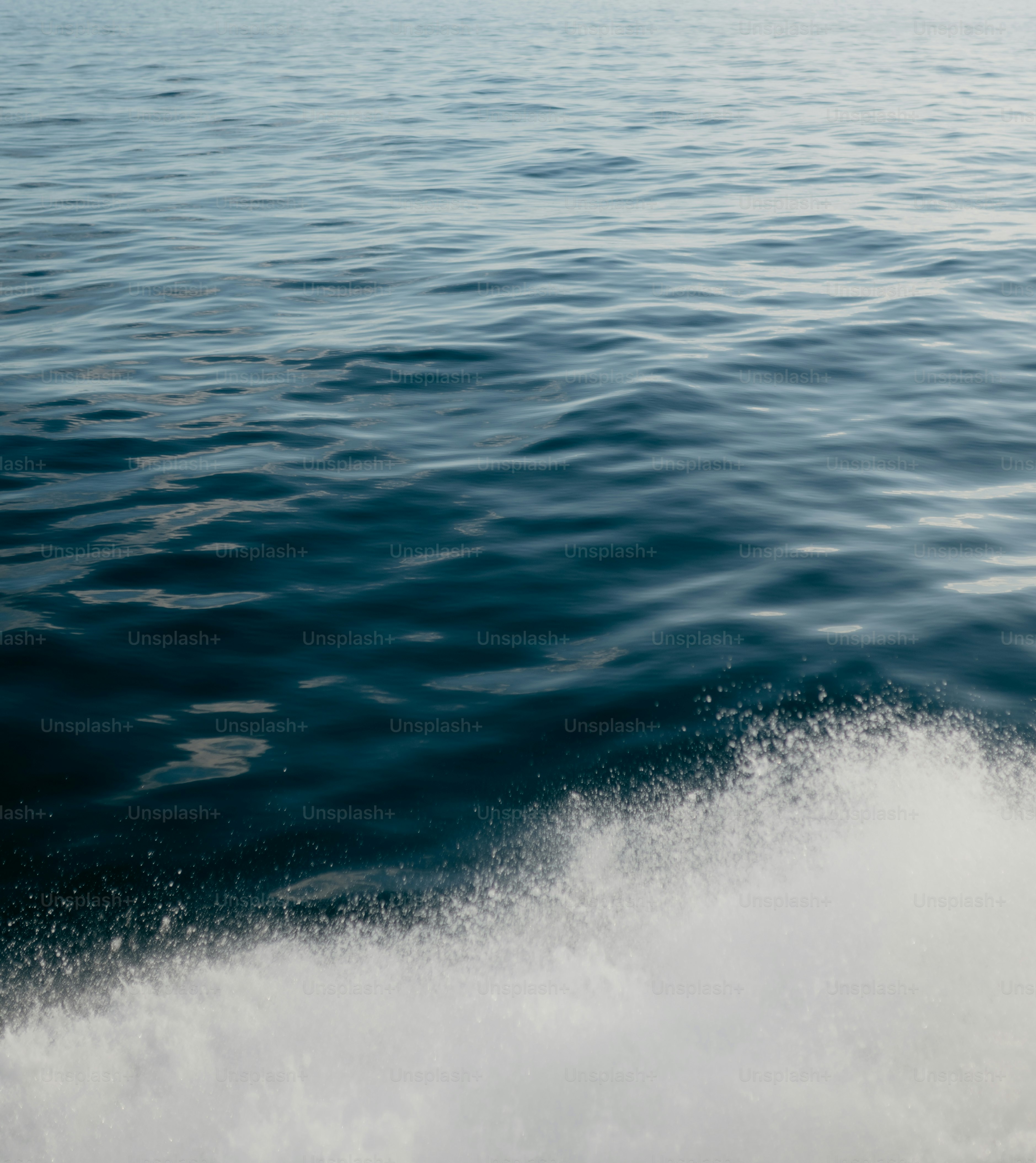 Blue ocean water with white foam from a boat.