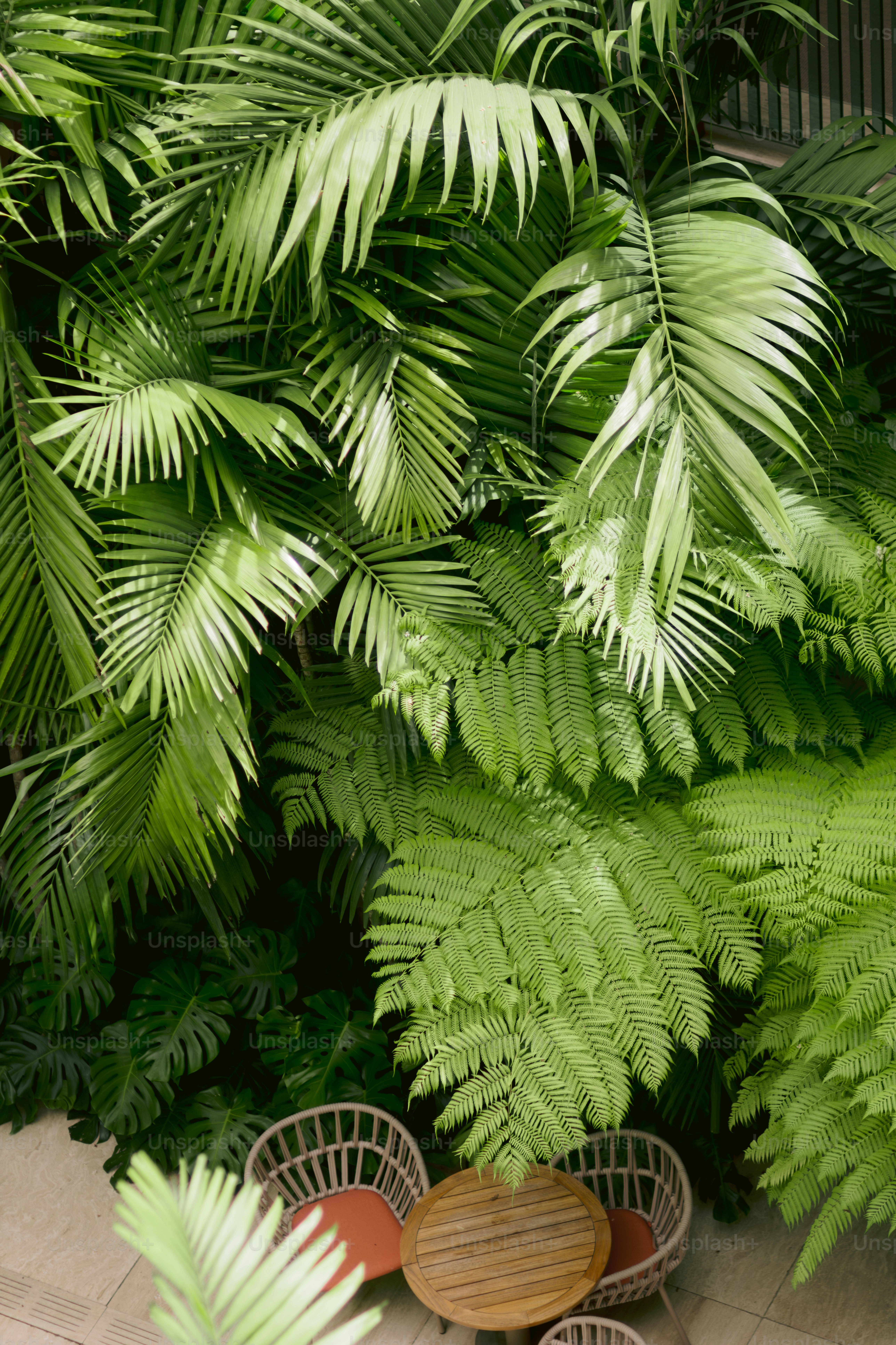 Lush green tropical foliage surrounds a small outdoor seating area.