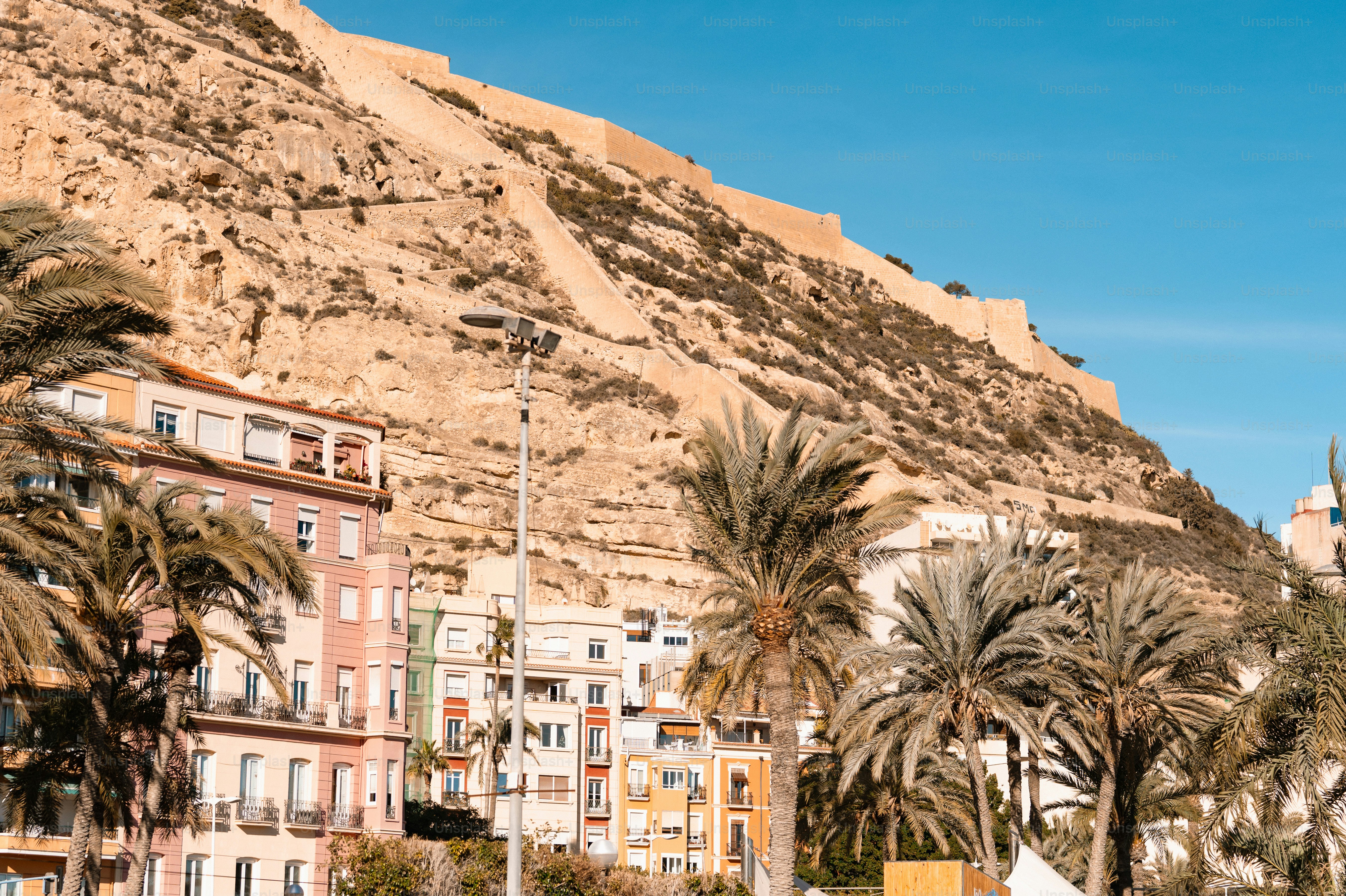 Buildings and palm trees below a large mountain
