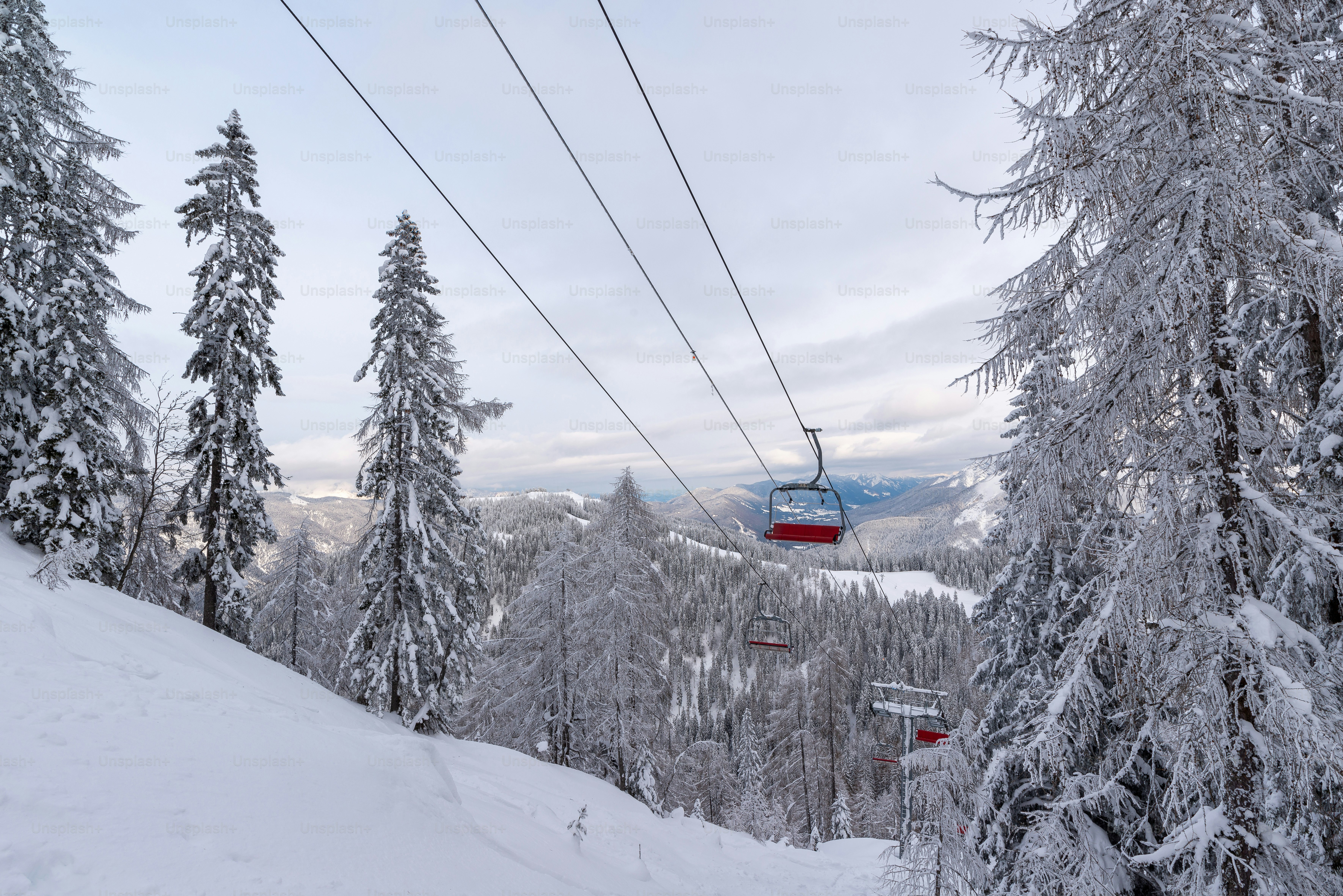 Ski lift moving through snow-covered trees on a mountain.