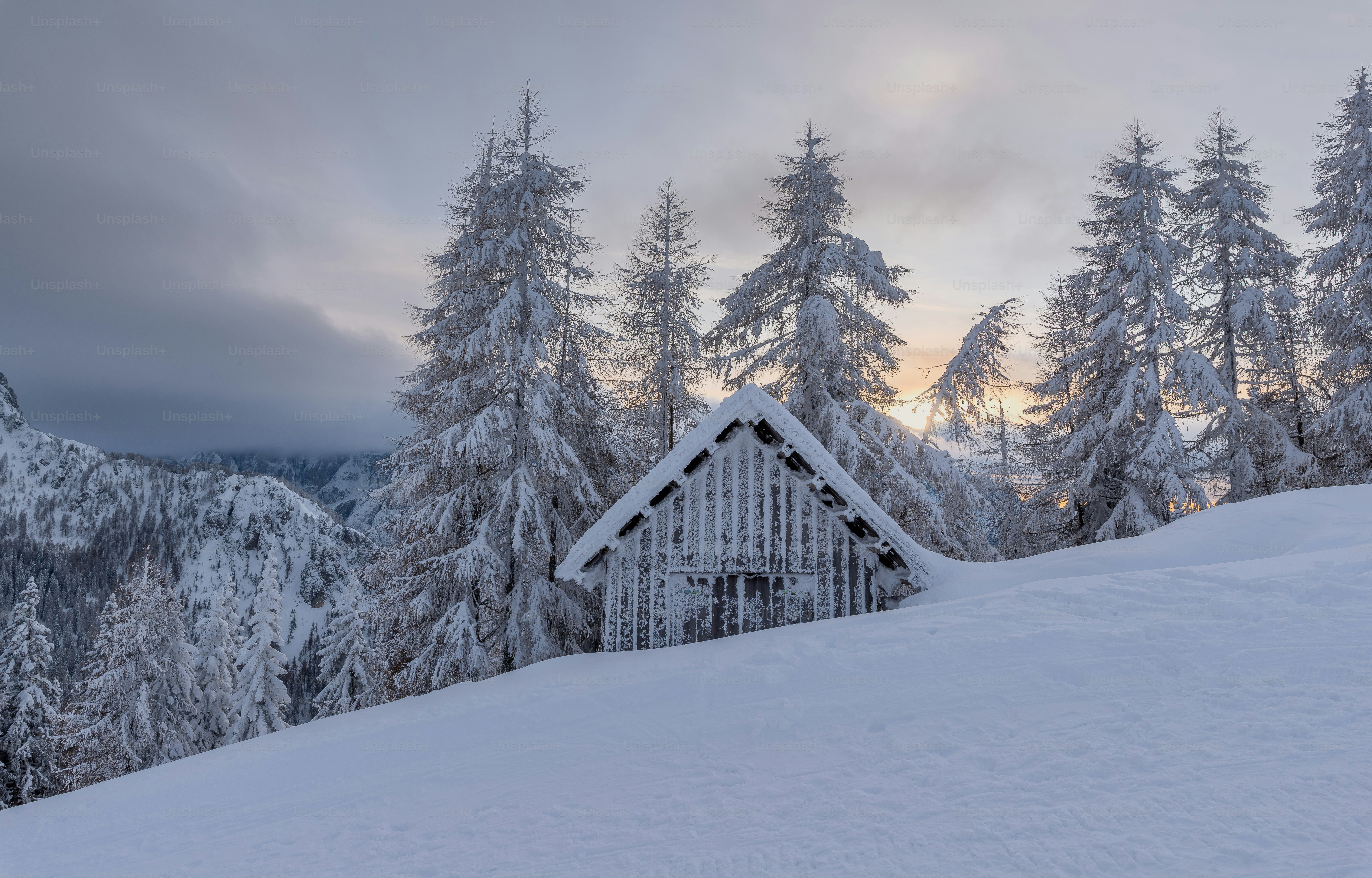 Snow covered cabin nestled among frosted trees at sunrise.