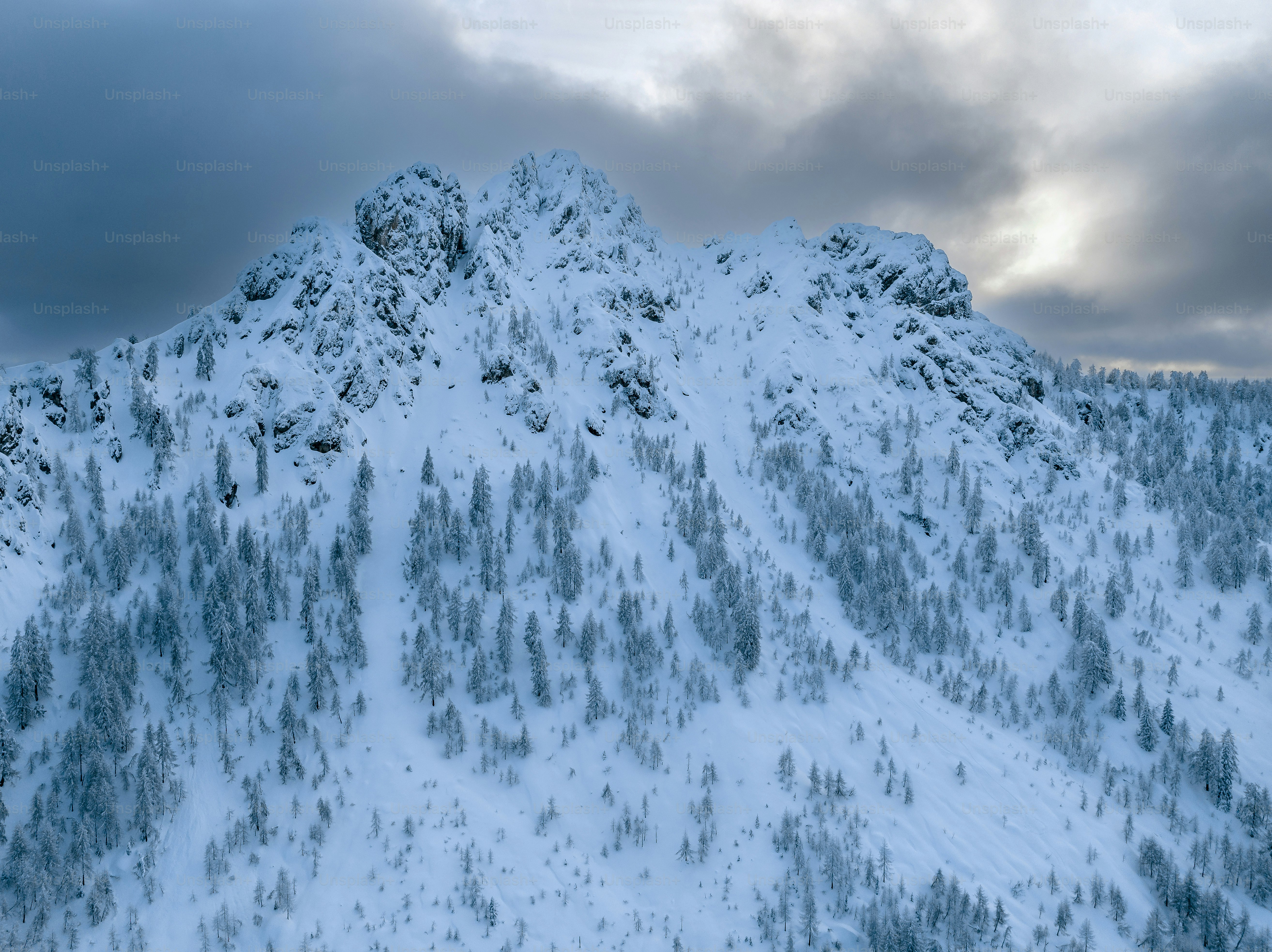 Snow-covered mountain peak with pine trees.
