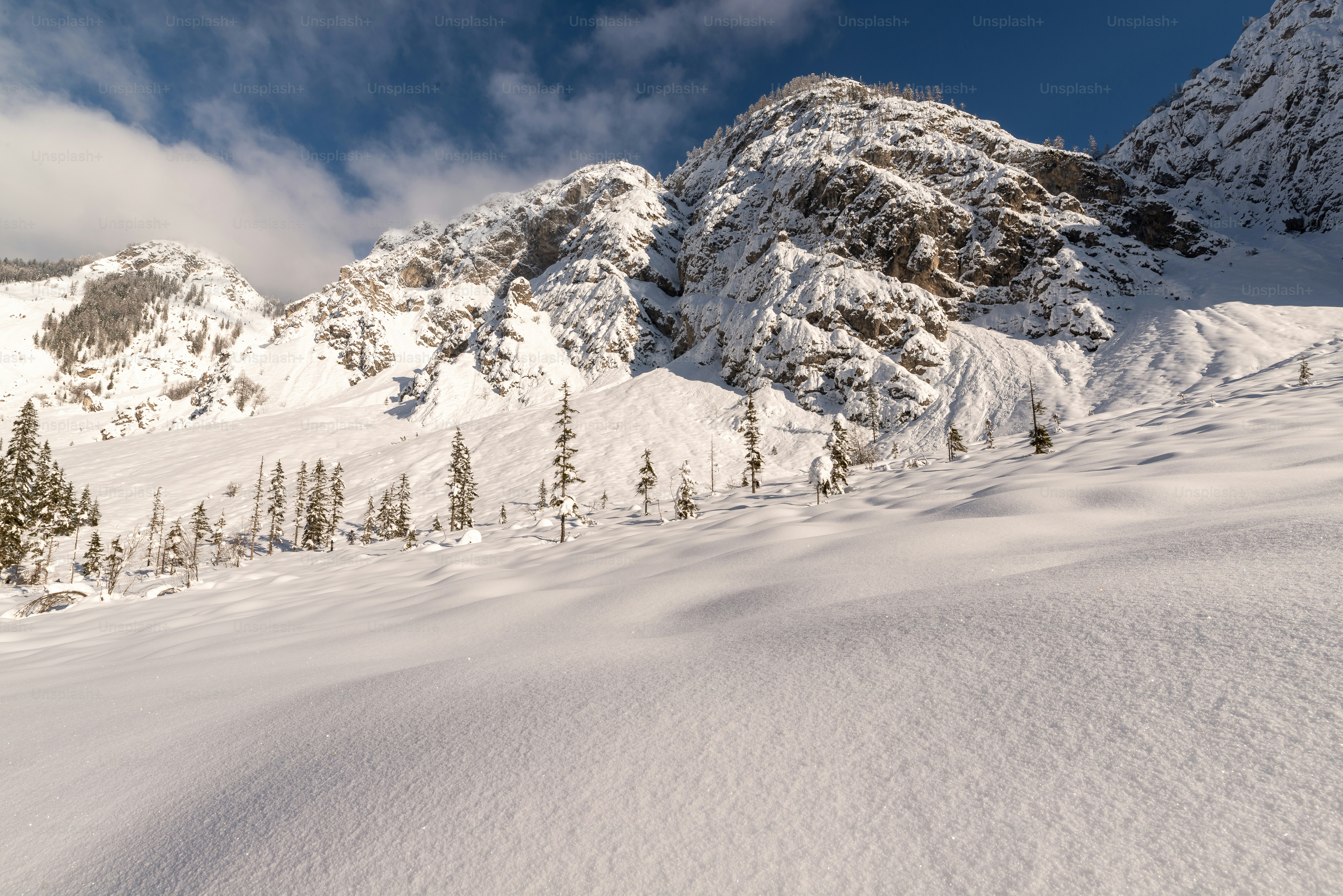 Snowy mountain landscape with scattered pine trees