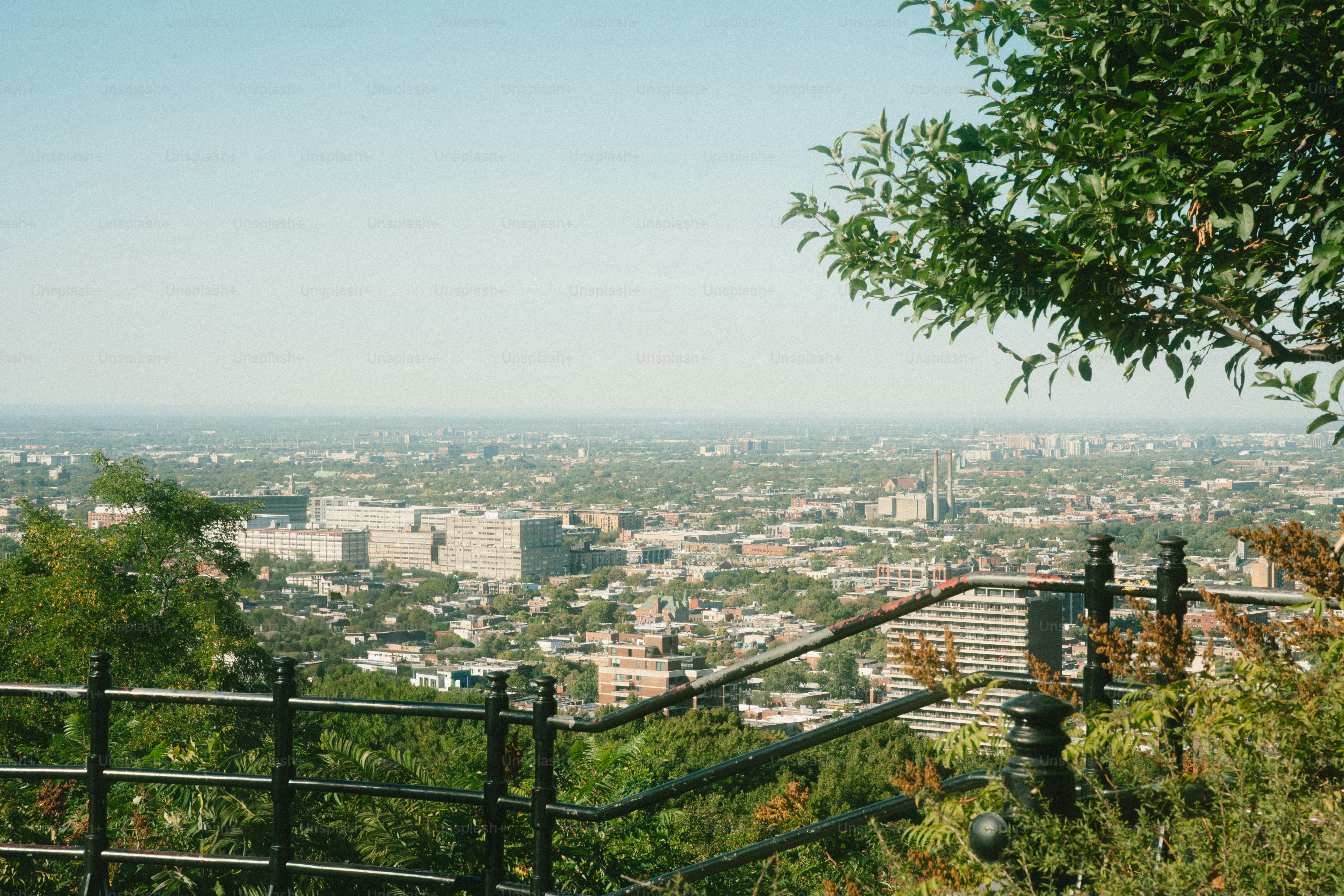 Paisagem urbana vista através de árvores e uma cerca