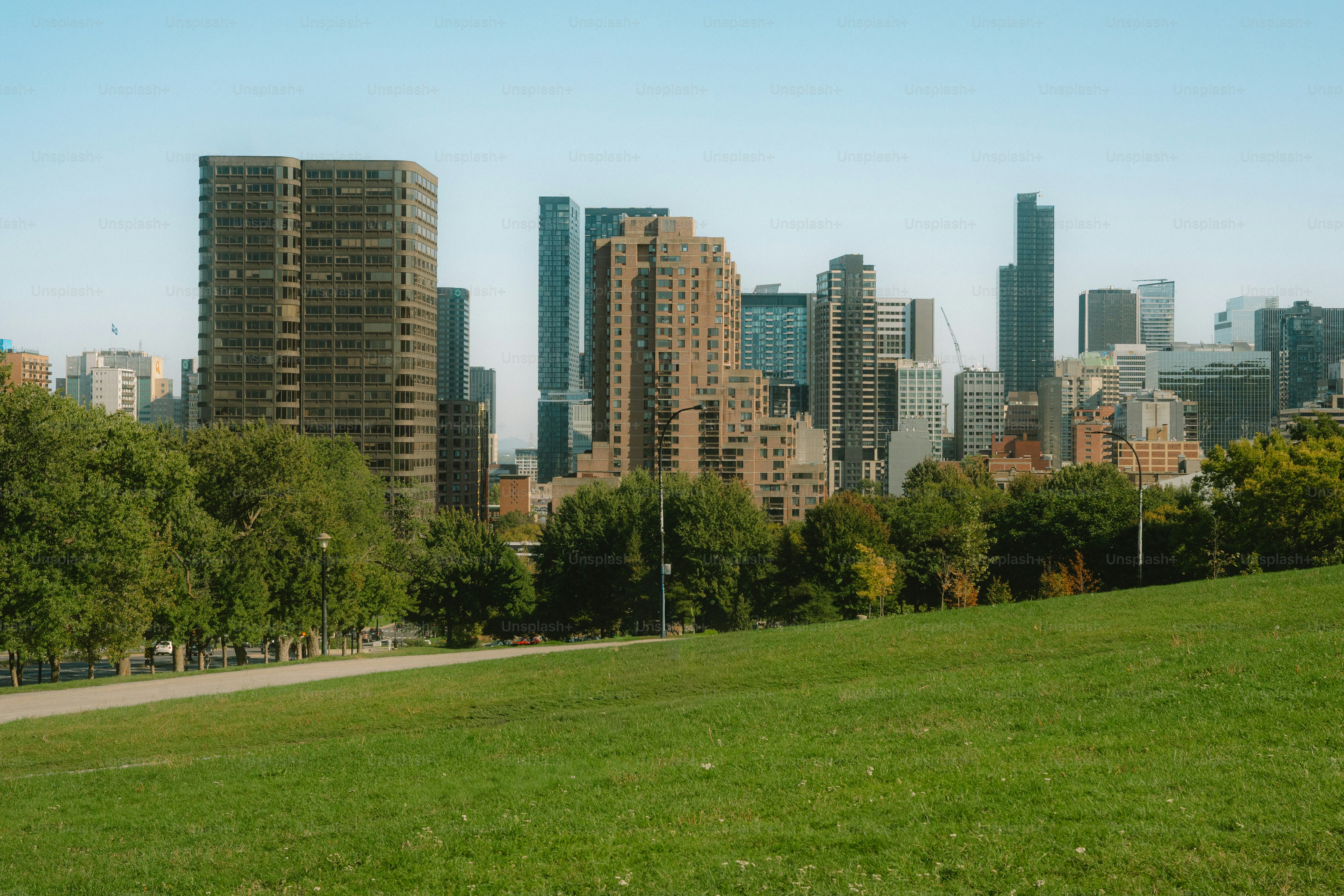Colina gramada com vista para o horizonte de uma cidade com árvores
