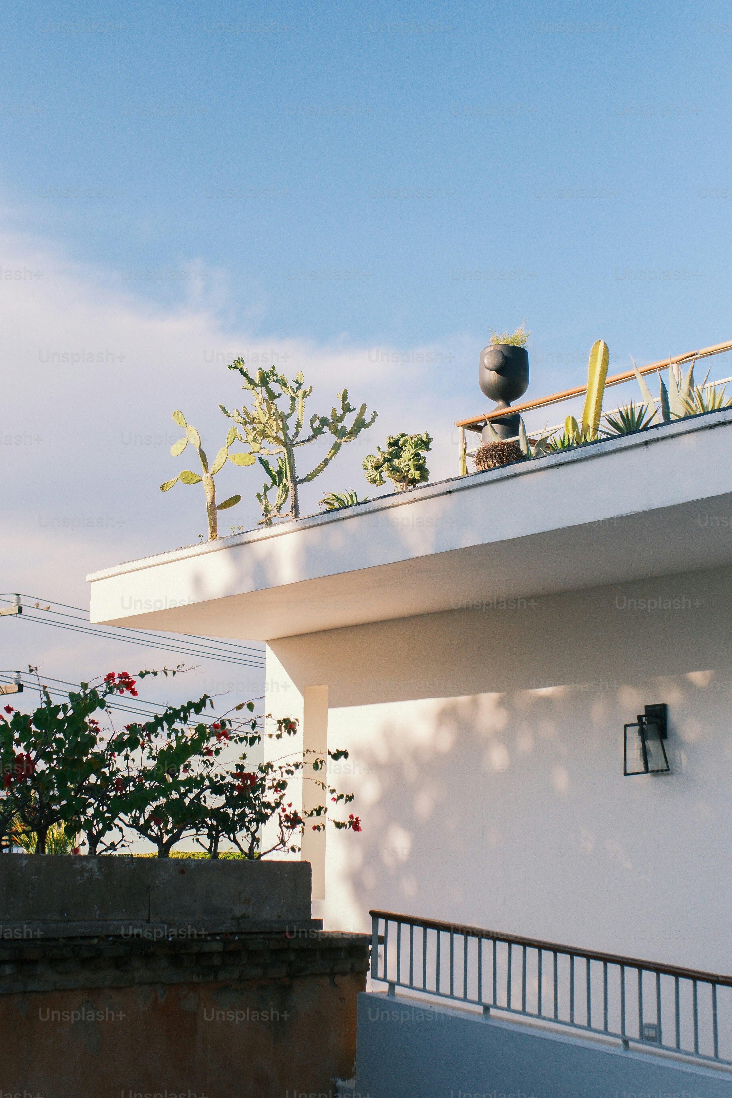 Modernes weißes Gebäude mit Dachpflanzen und blauem Himmel