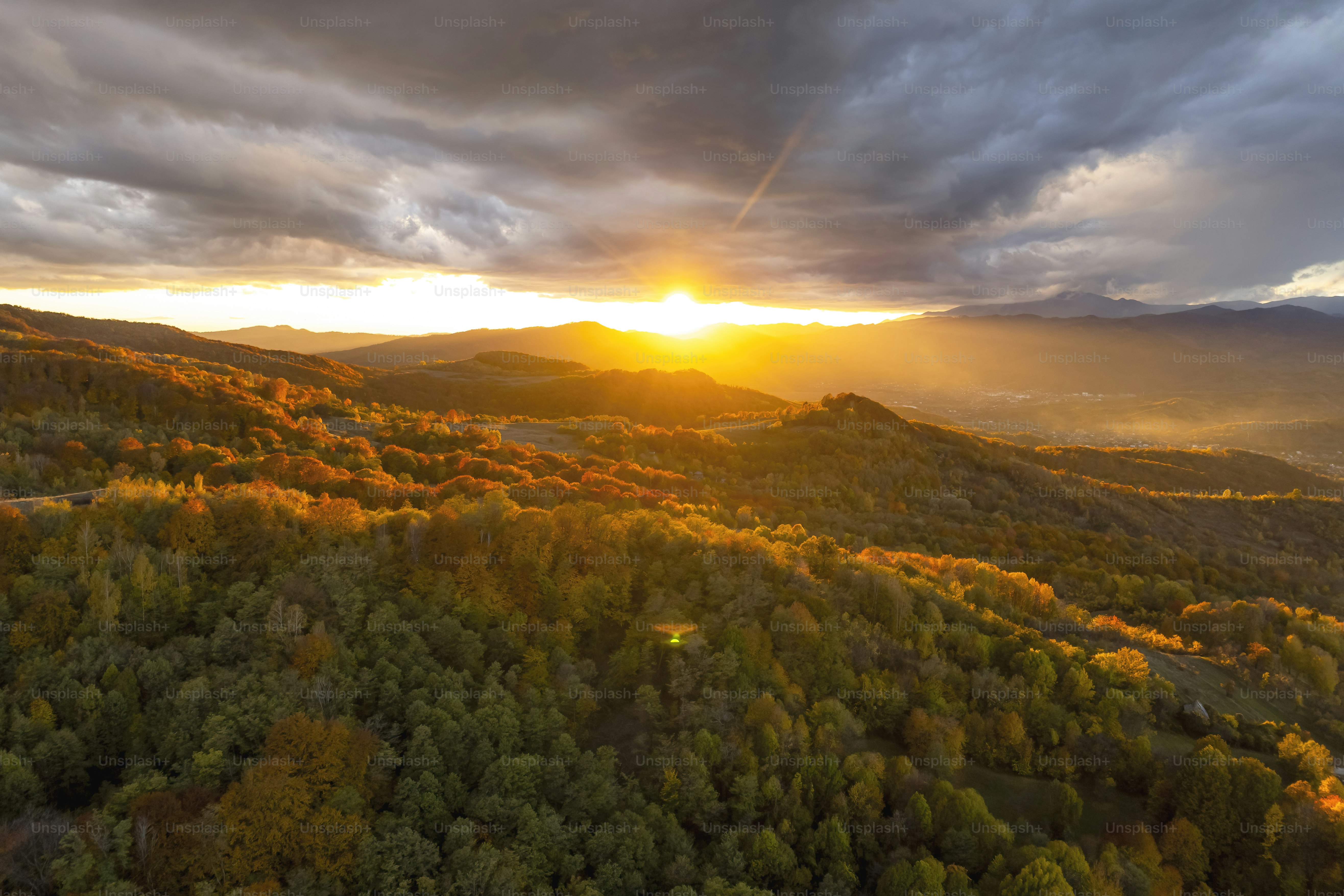 Golden sunset over rolling hills with autumn foliage photo – Forest ...