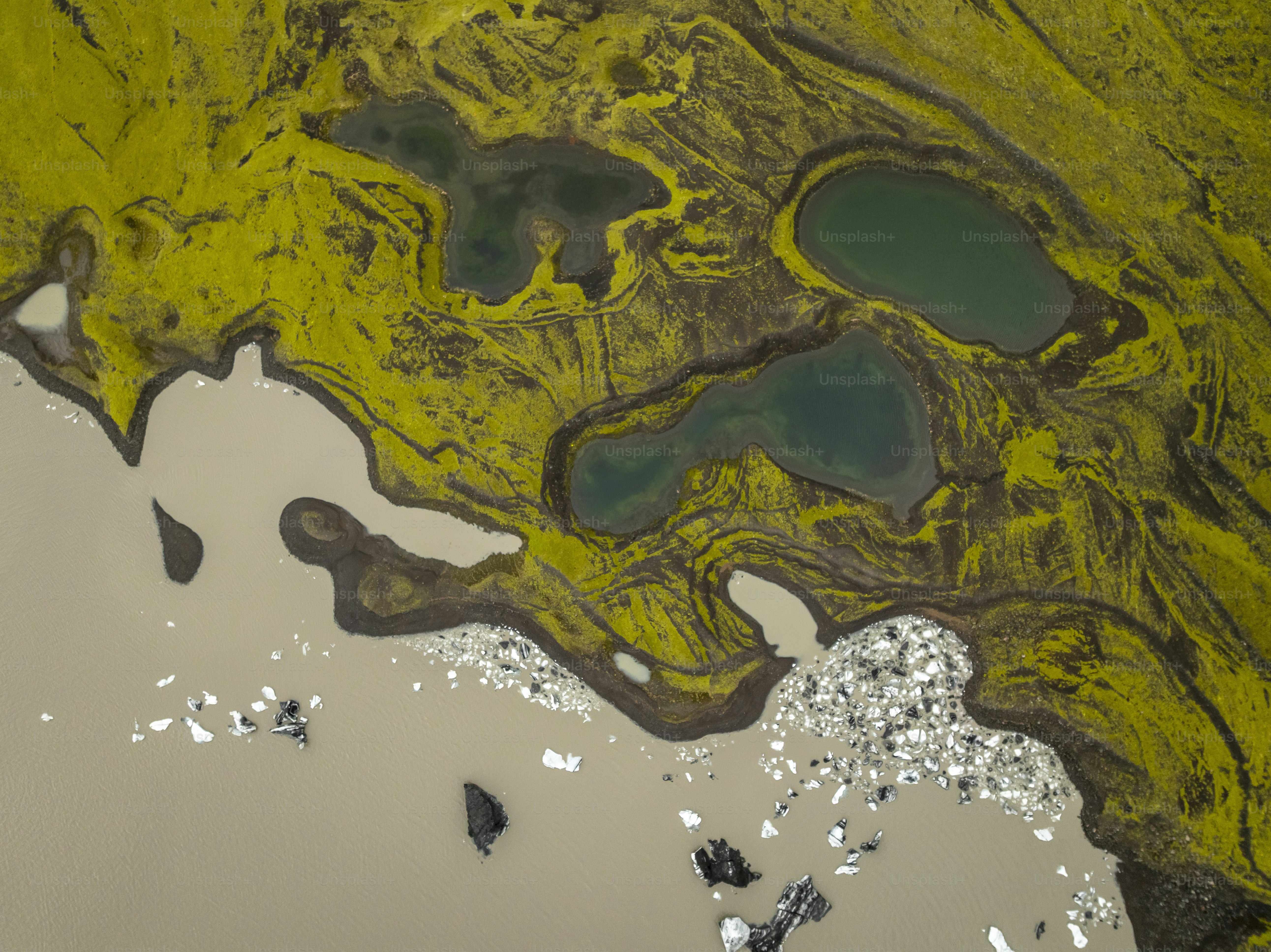 Aerial view of mossy terrain with ponds and icebergs