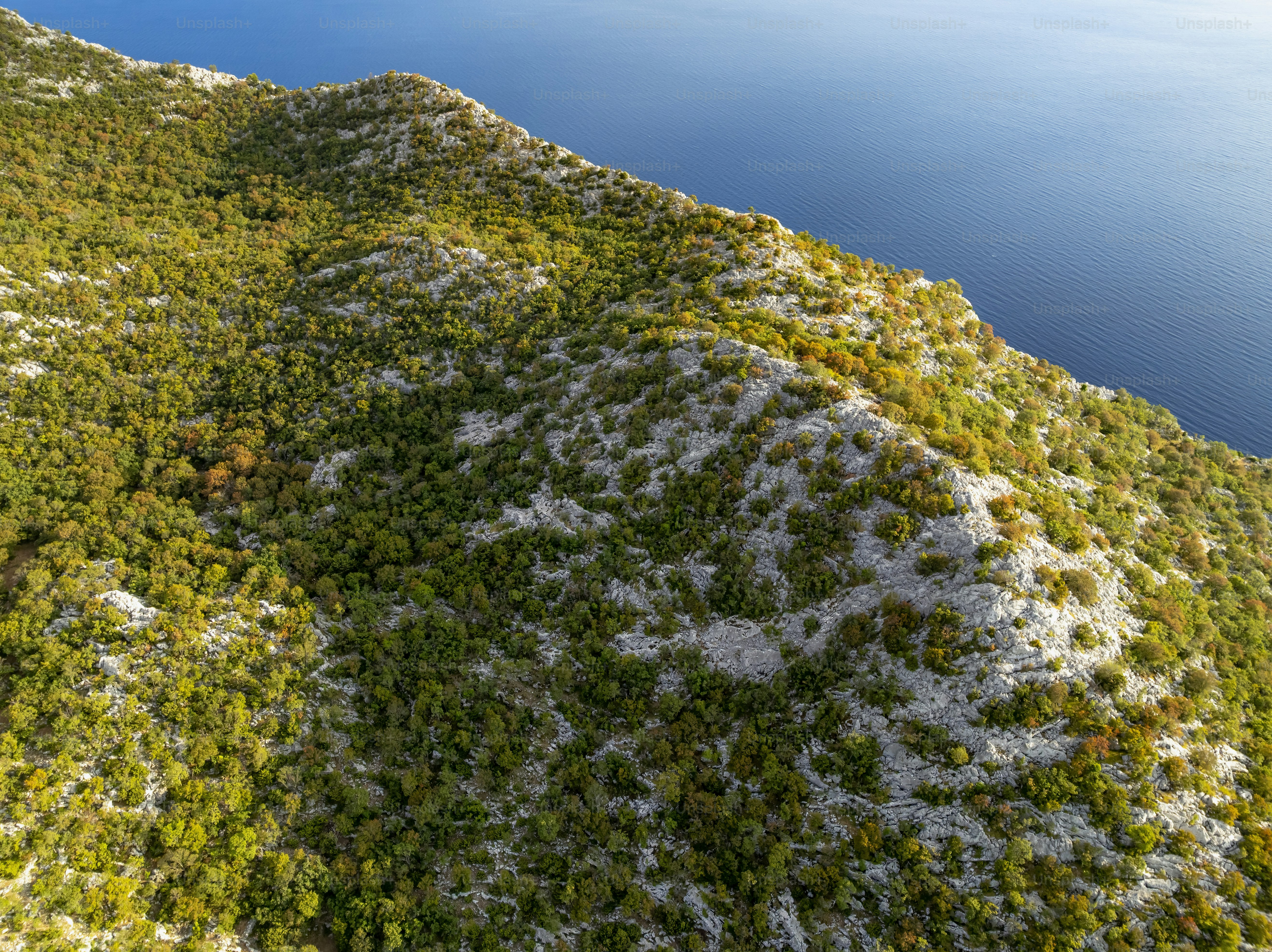 Green trees on a rocky hillside overlooking blue water photo ...