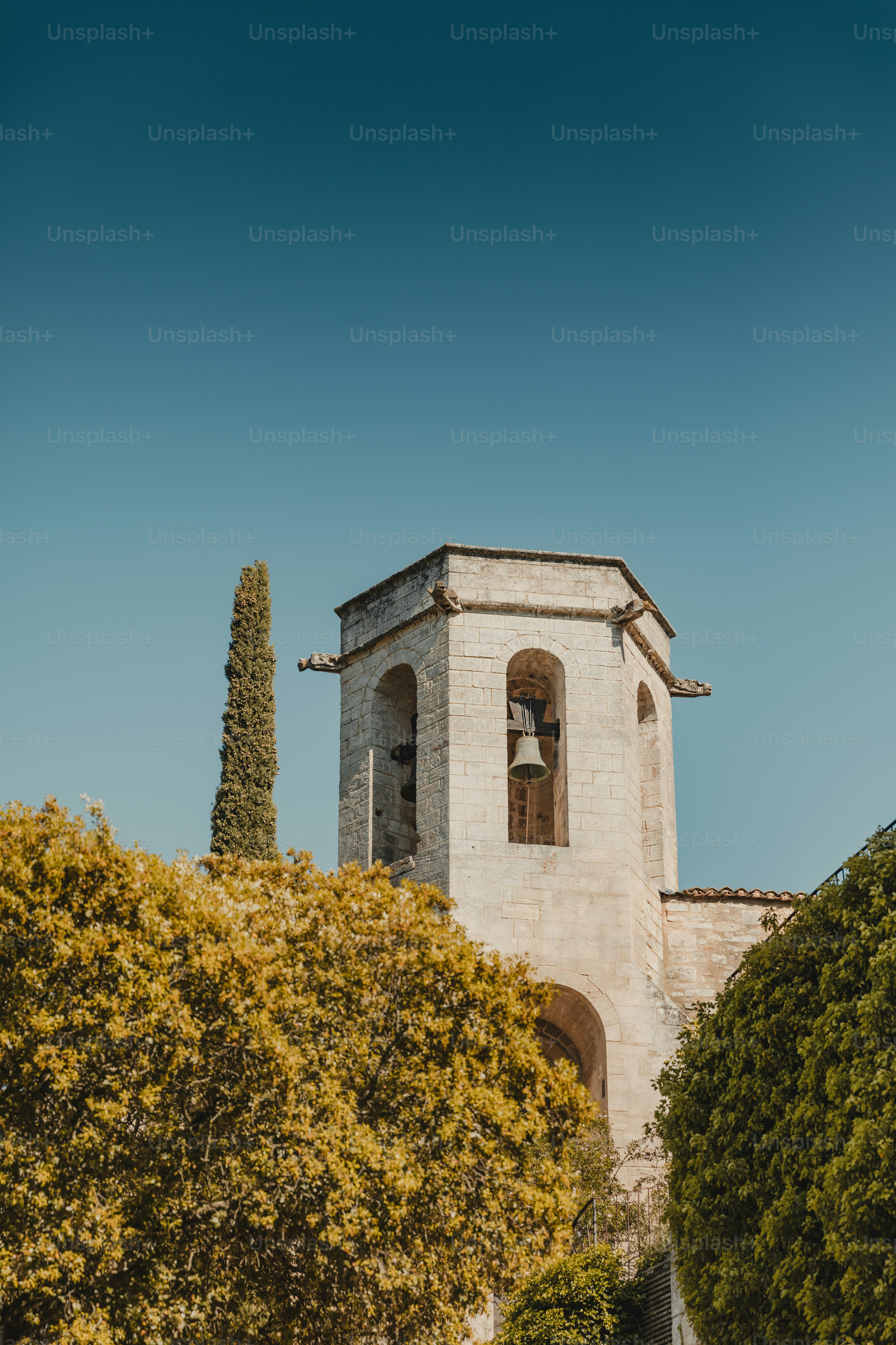 Clocher d’une vieille église avec des arbres