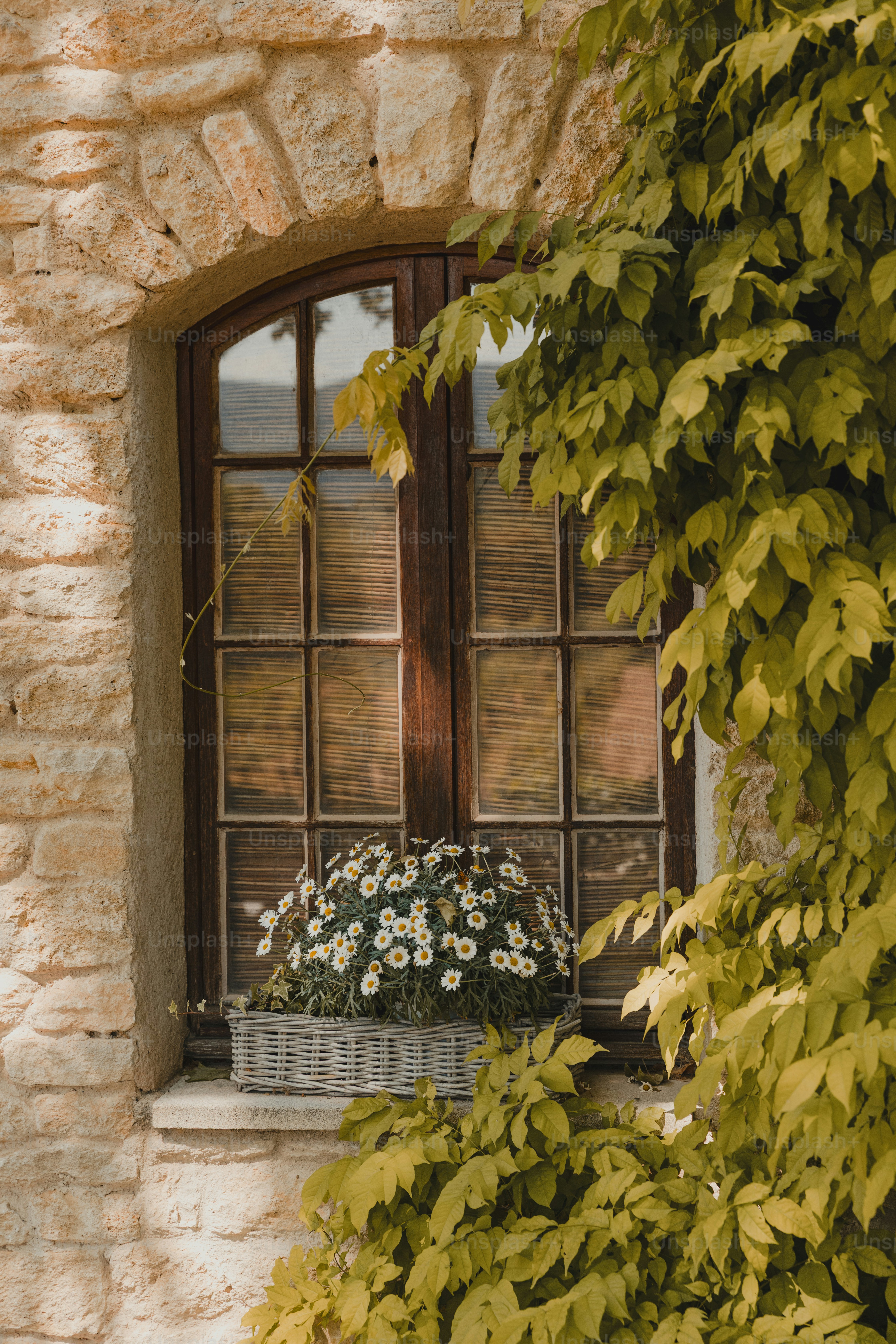 Fenêtre avec des fleurs et du lierre sur un mur de pierre