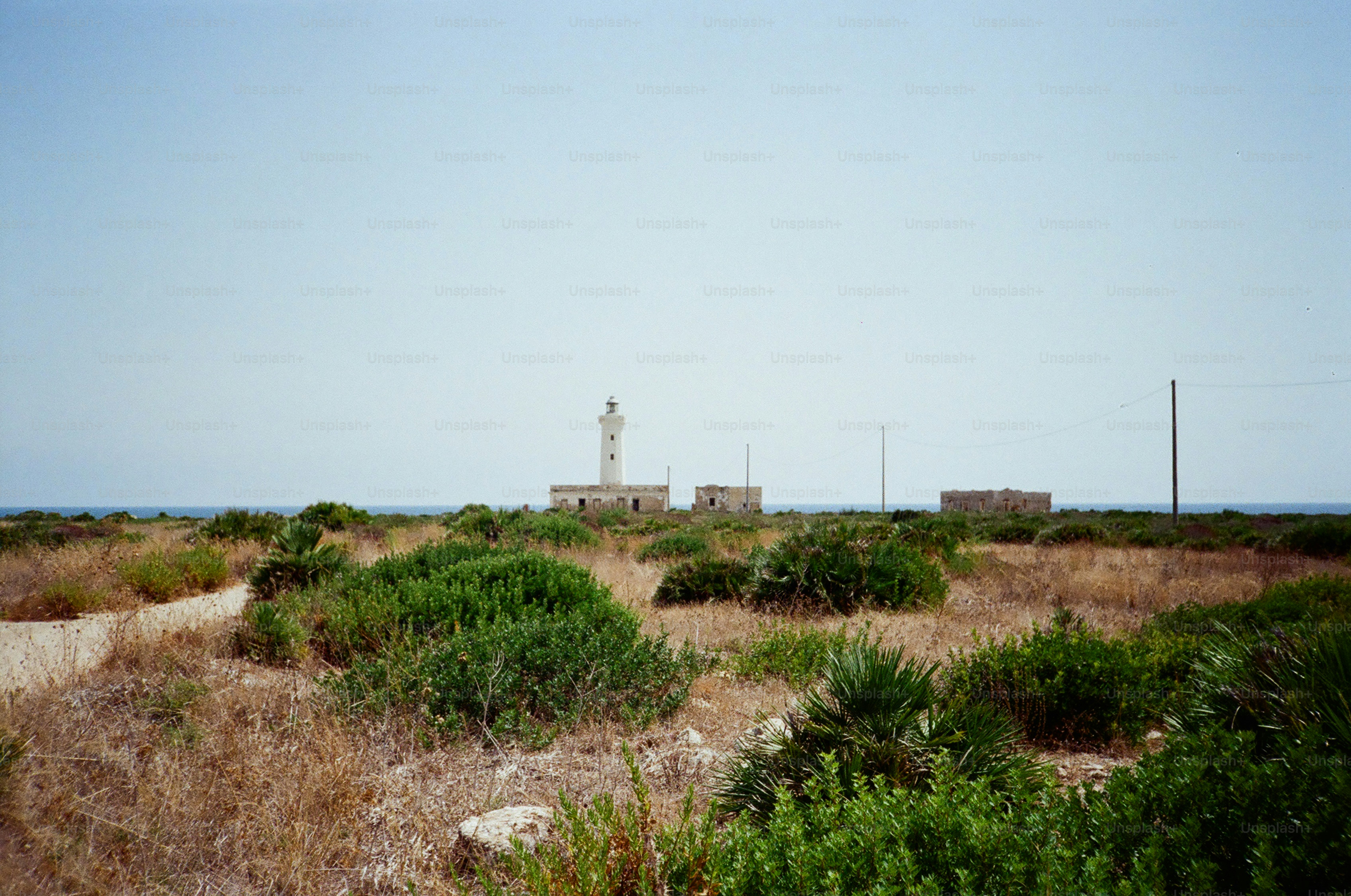 Lighthouse on a dry, overgrown coastal landscape