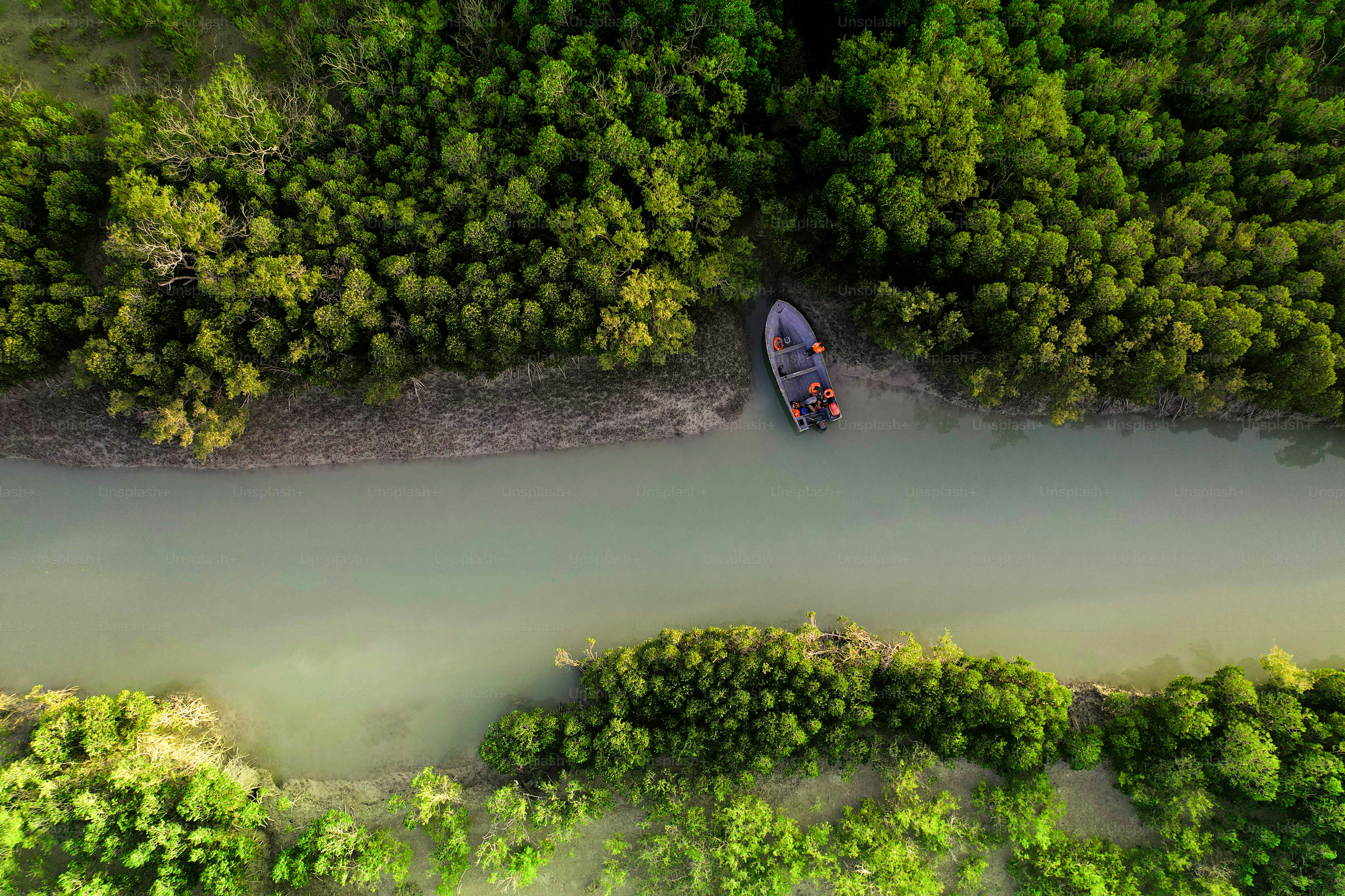 Boat docked by lush green trees along a river. photo – Image on Unsplash