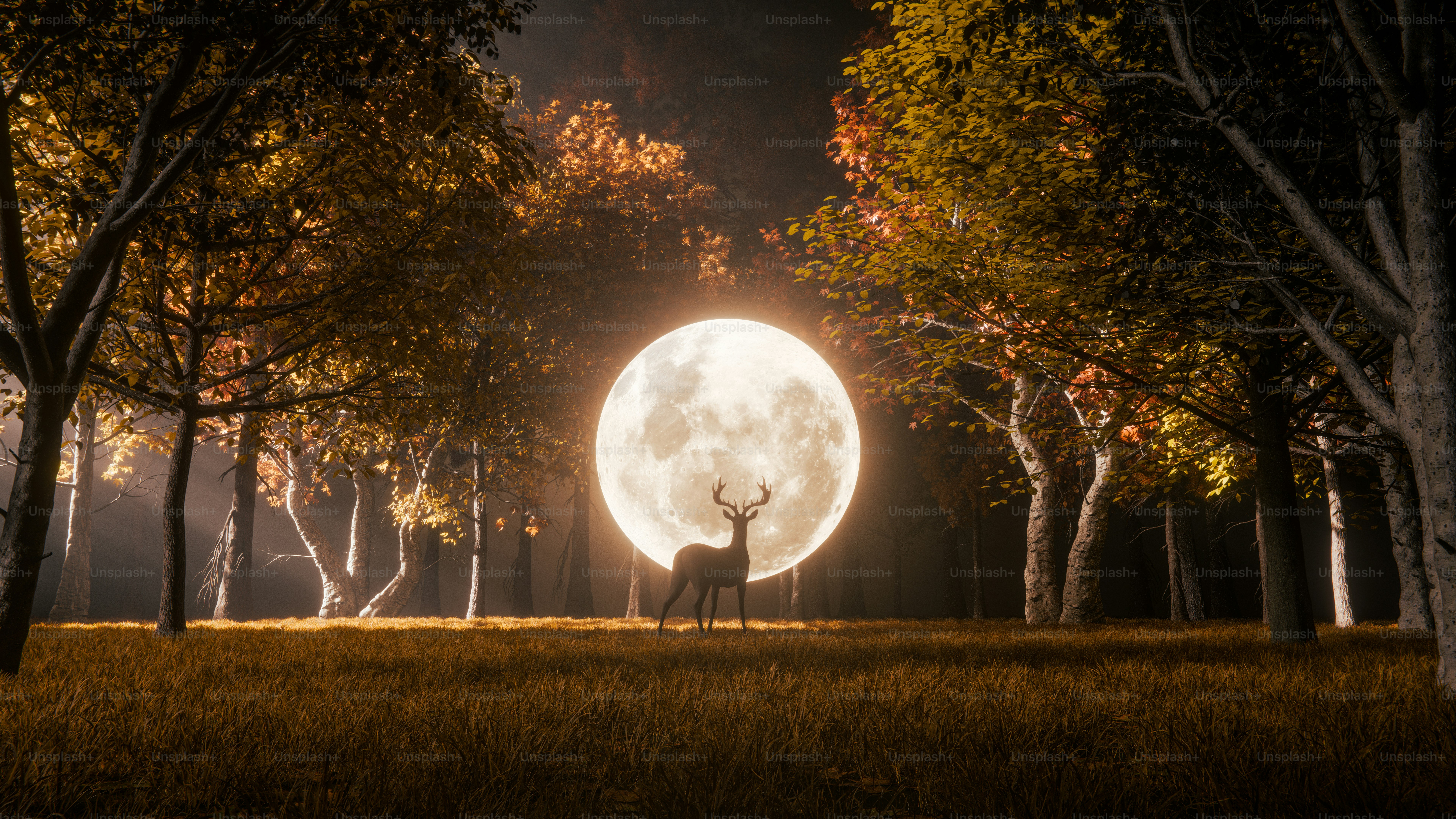 Um cervo está diante de uma lua brilhante em uma floresta.