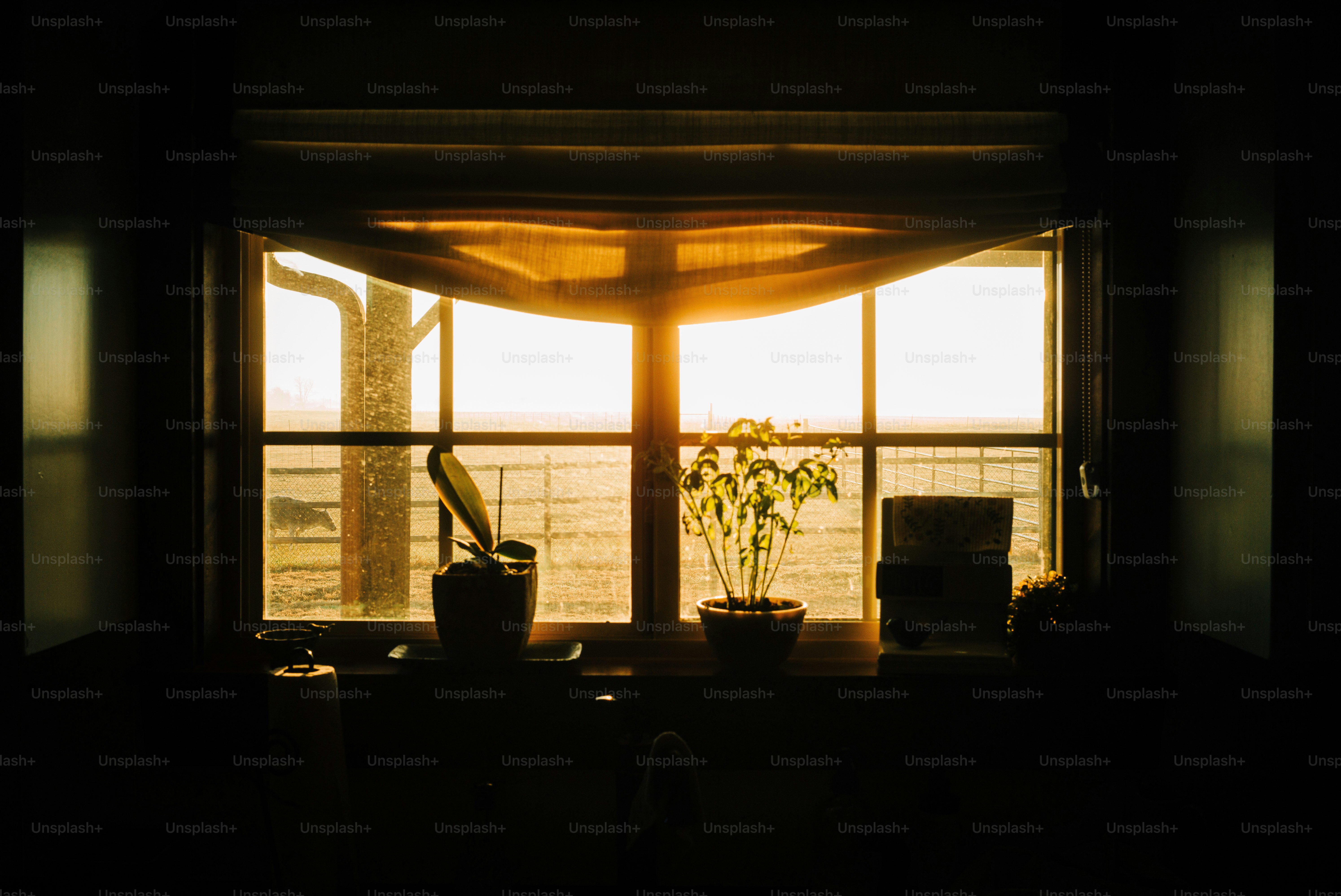 Golden sunset light streams through a bay window.