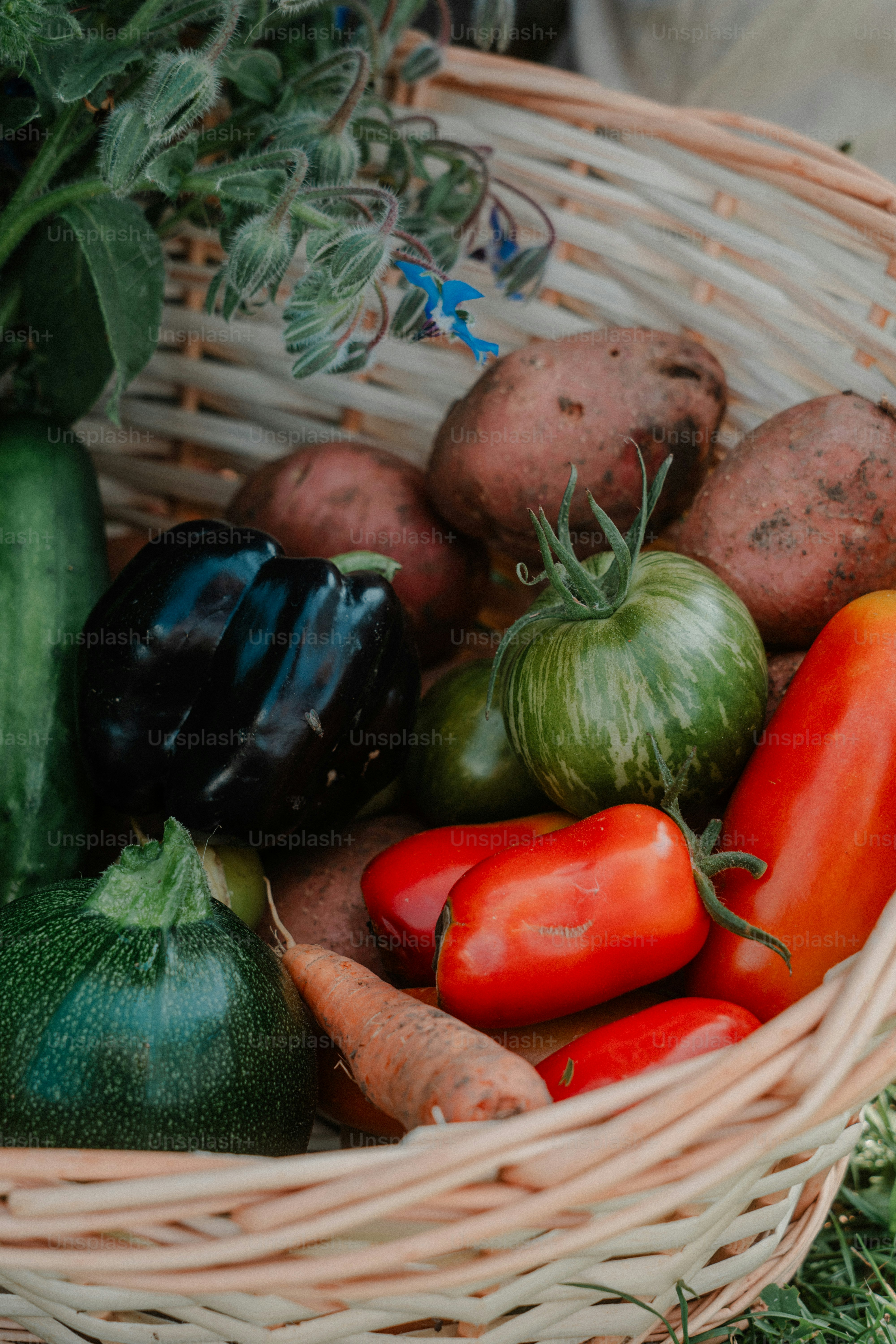 A basket overflowing with fresh garden vegetables
